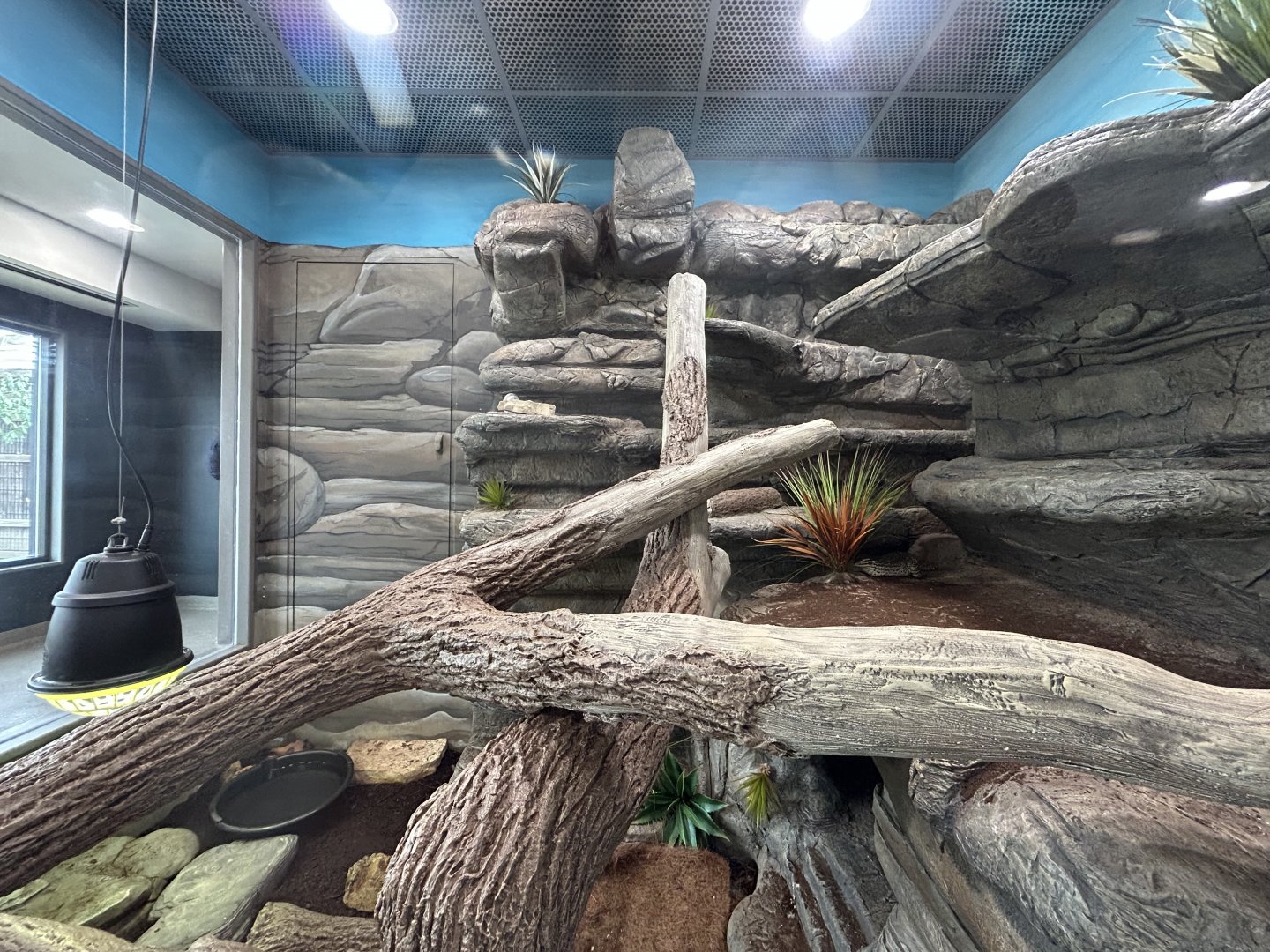 Argus Monitor Exhibit