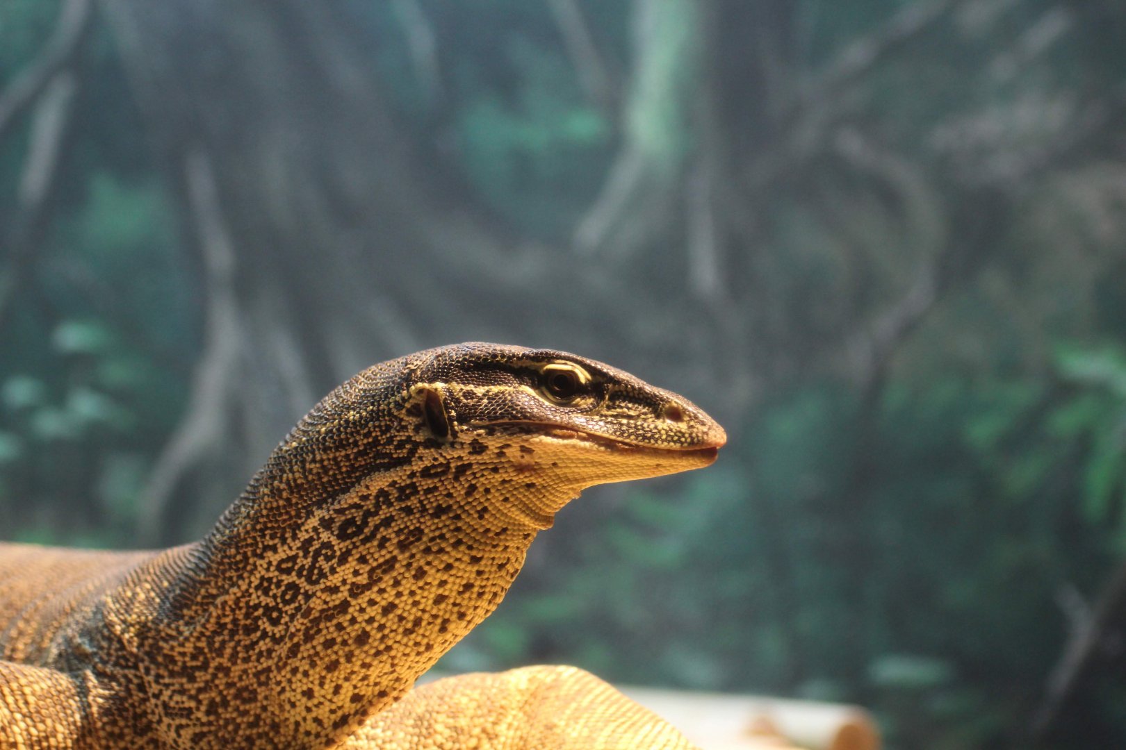 Argus Monitor