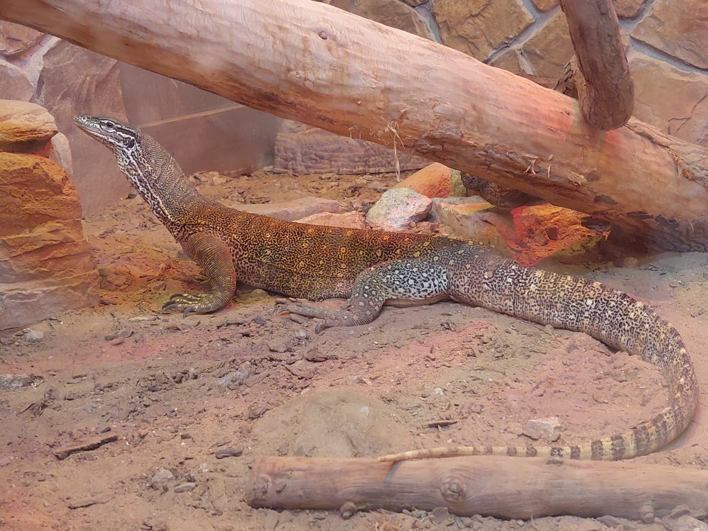 Argus Monitor
