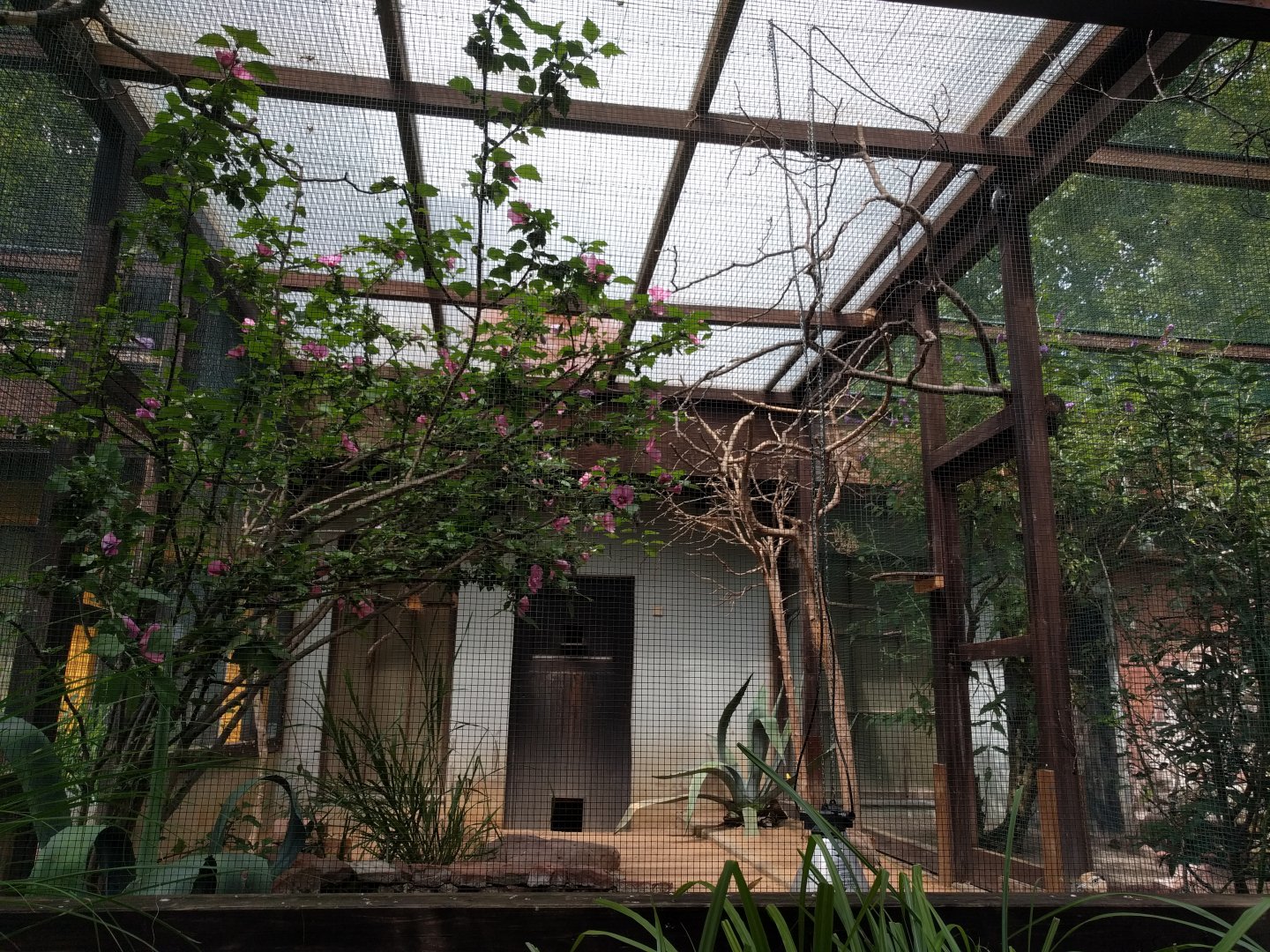 Arid Americas Aviary