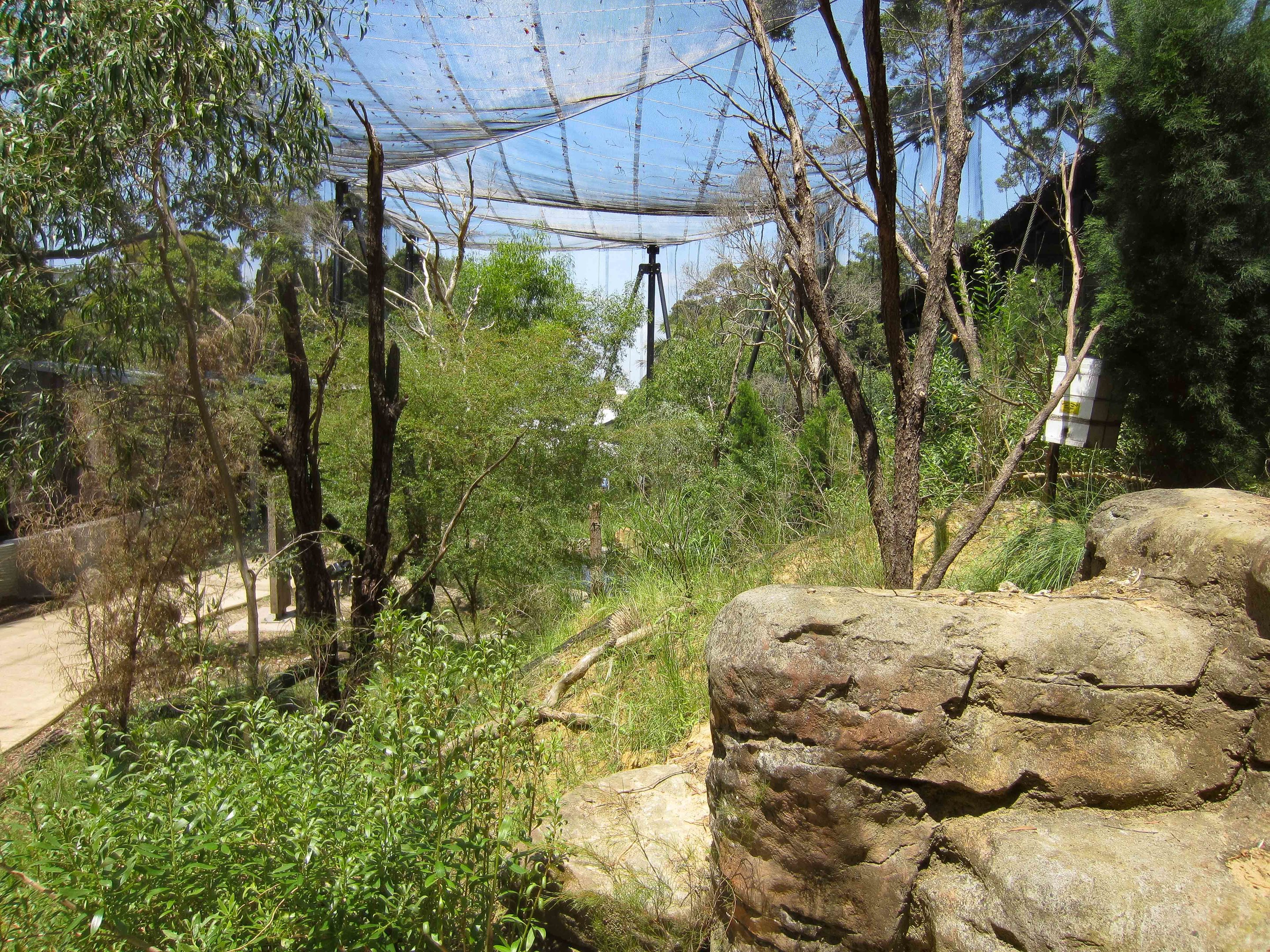 Arid aviary