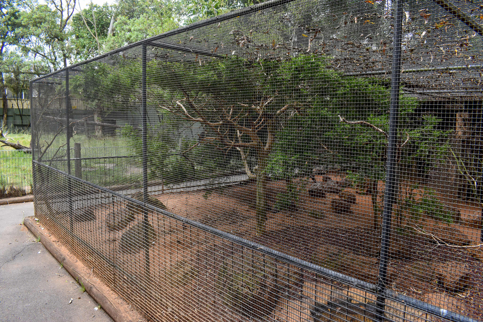 Arid Birds Aviary