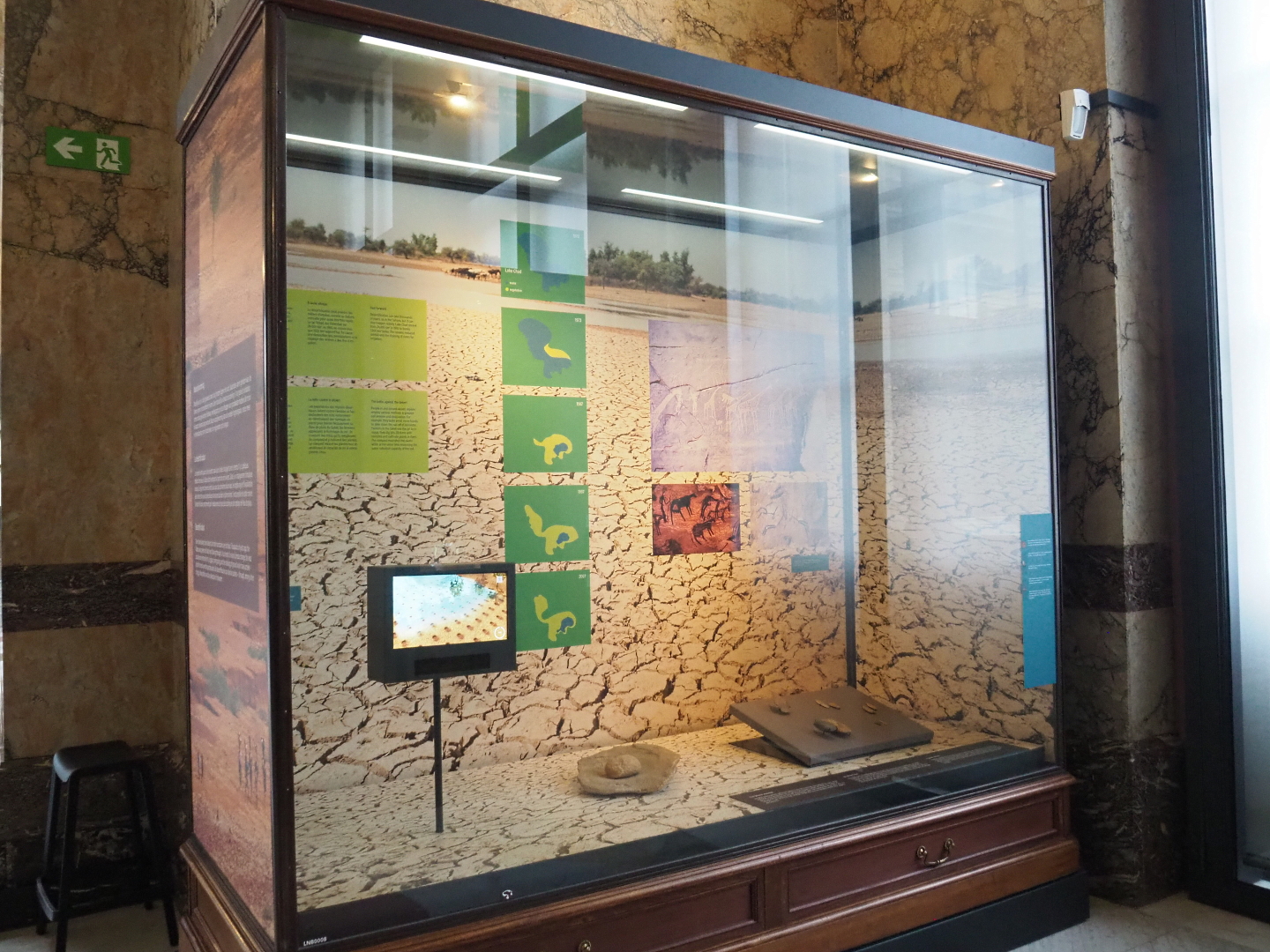 Arid habitats display, 2021-10-20