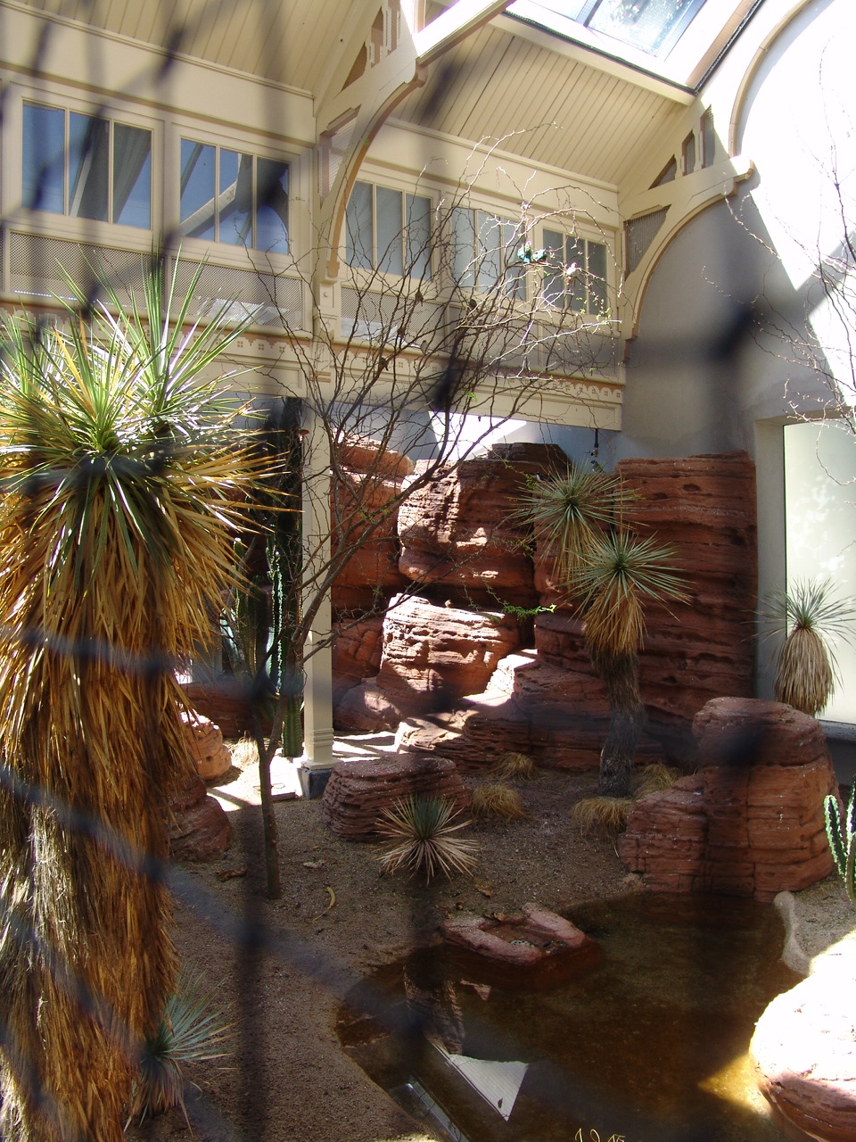 'Arid Regions' aviary 1