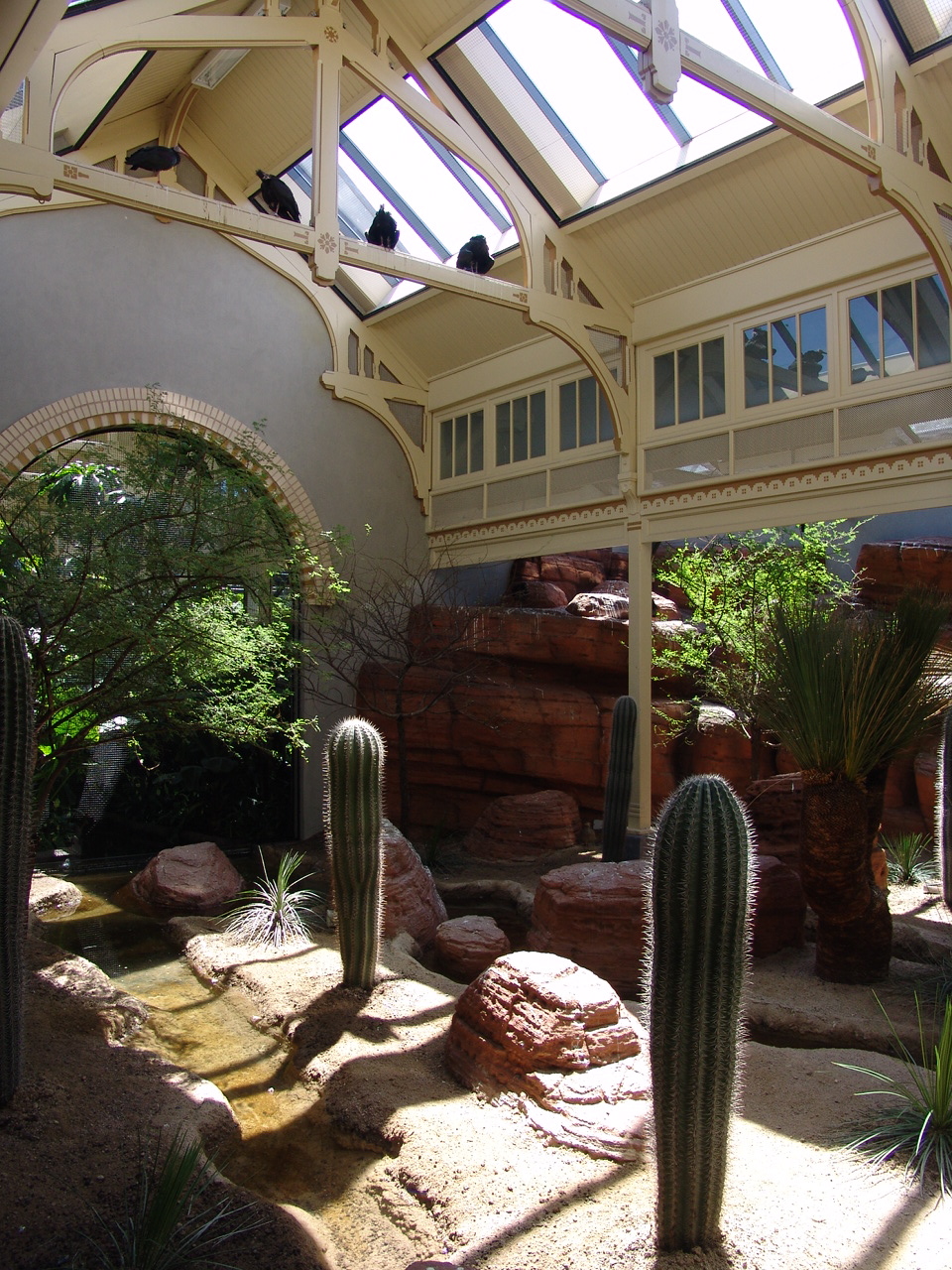 'Arid Regions' aviary 2