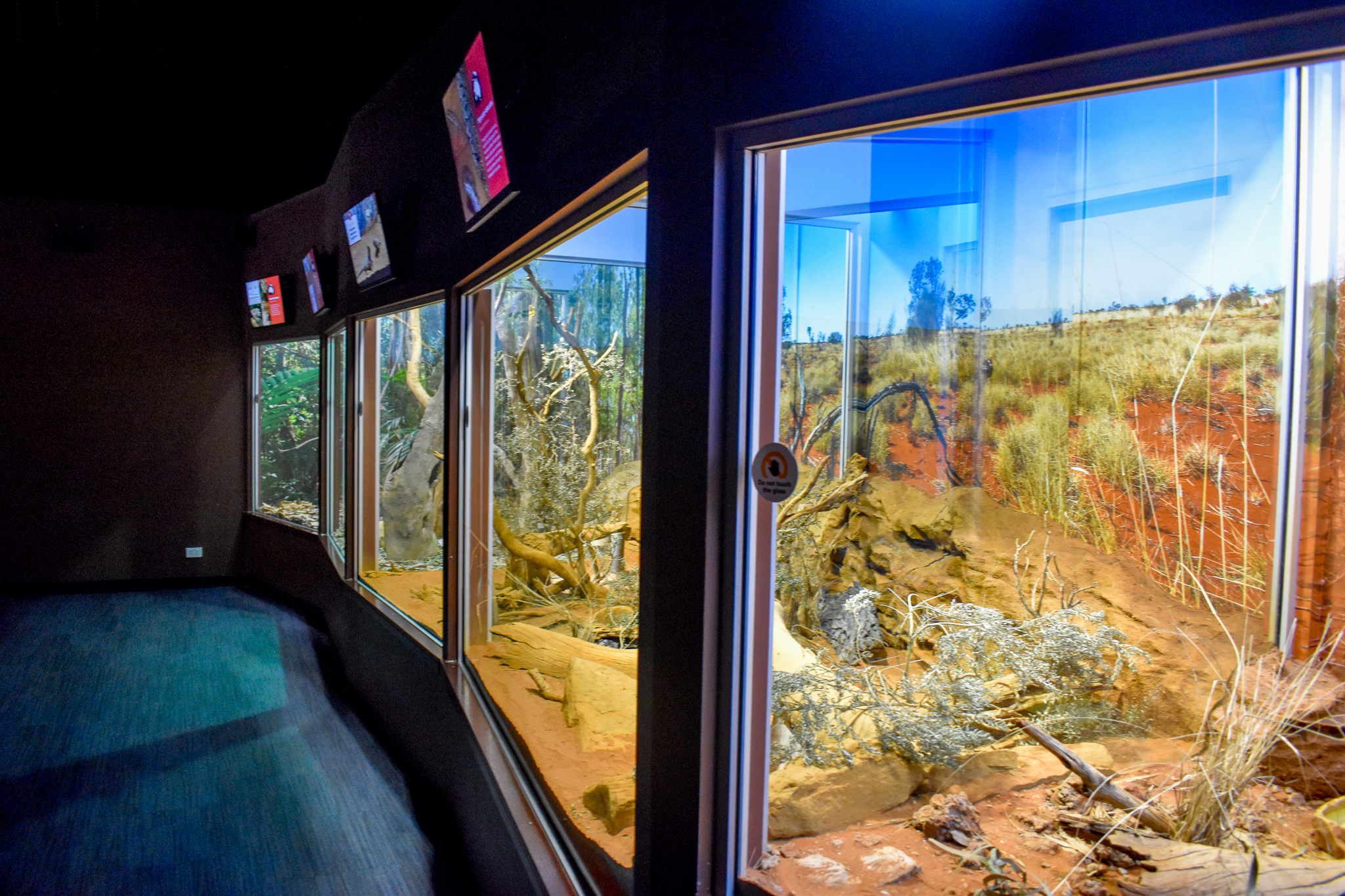 Arid Reptile Enclosures