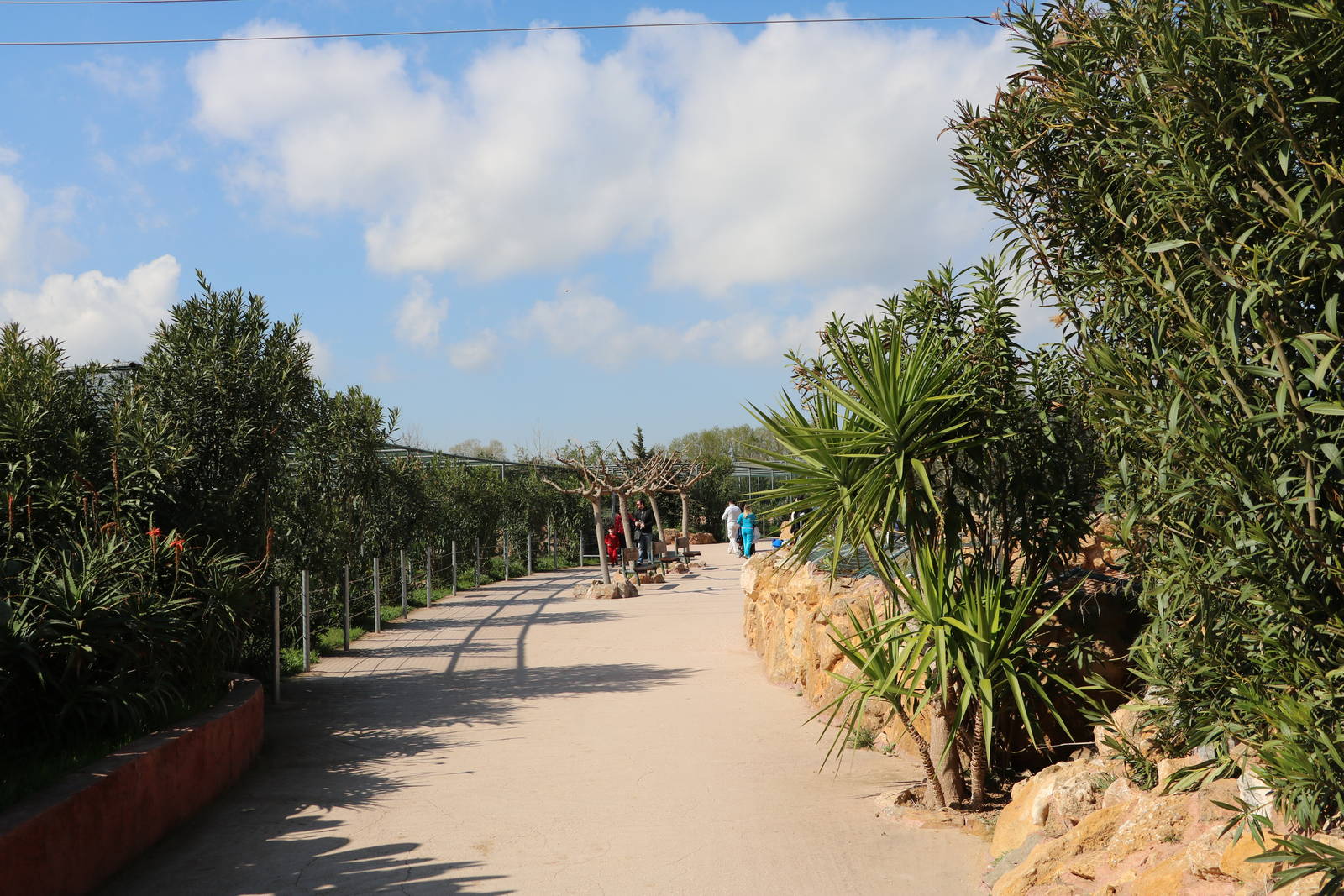 Arid zone path, February 2016