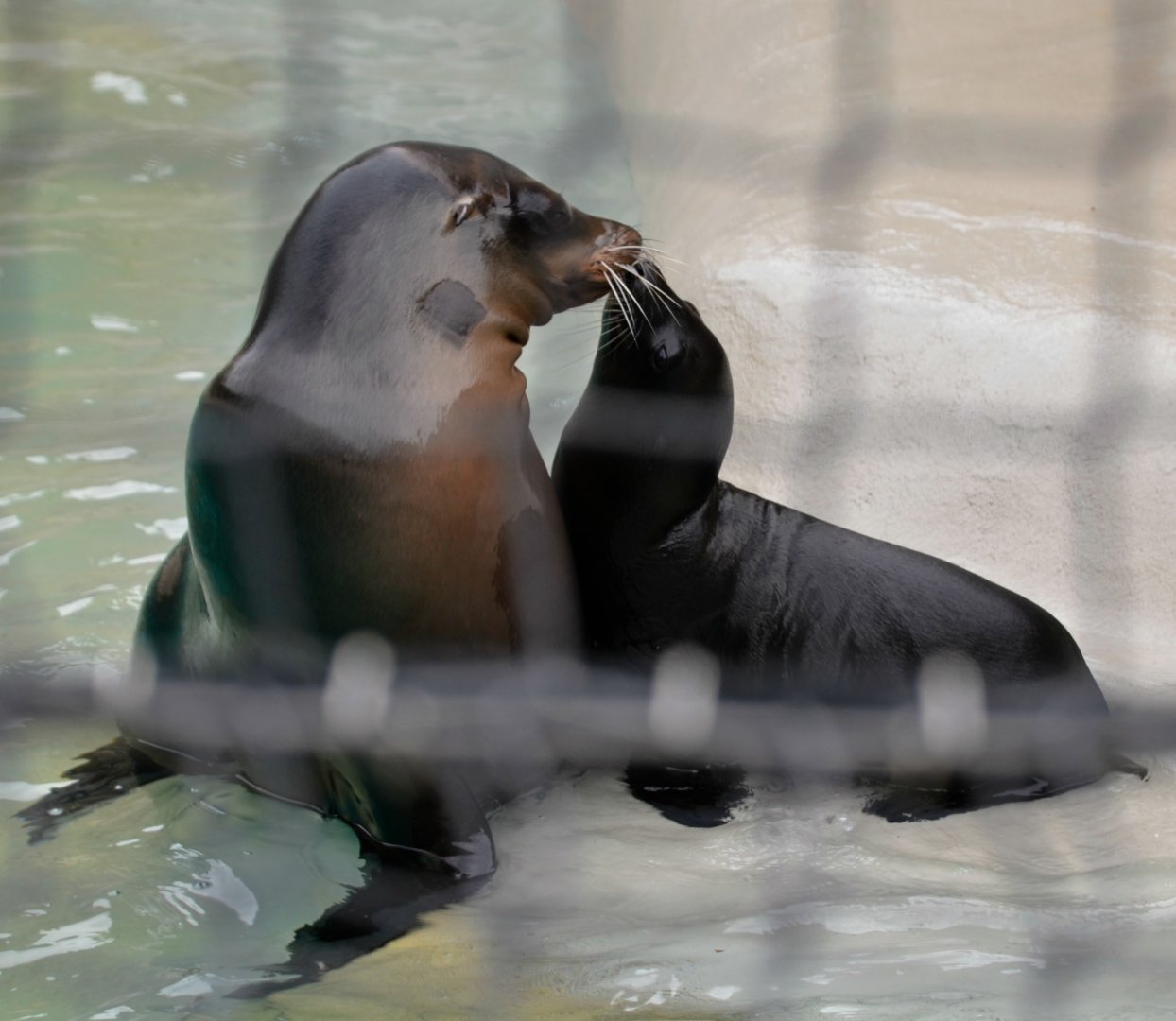 Arie and her son Taylor