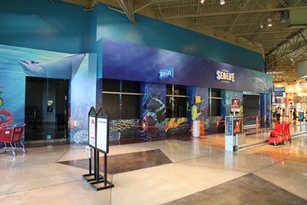 Arizona Sealife - Sneak Peak