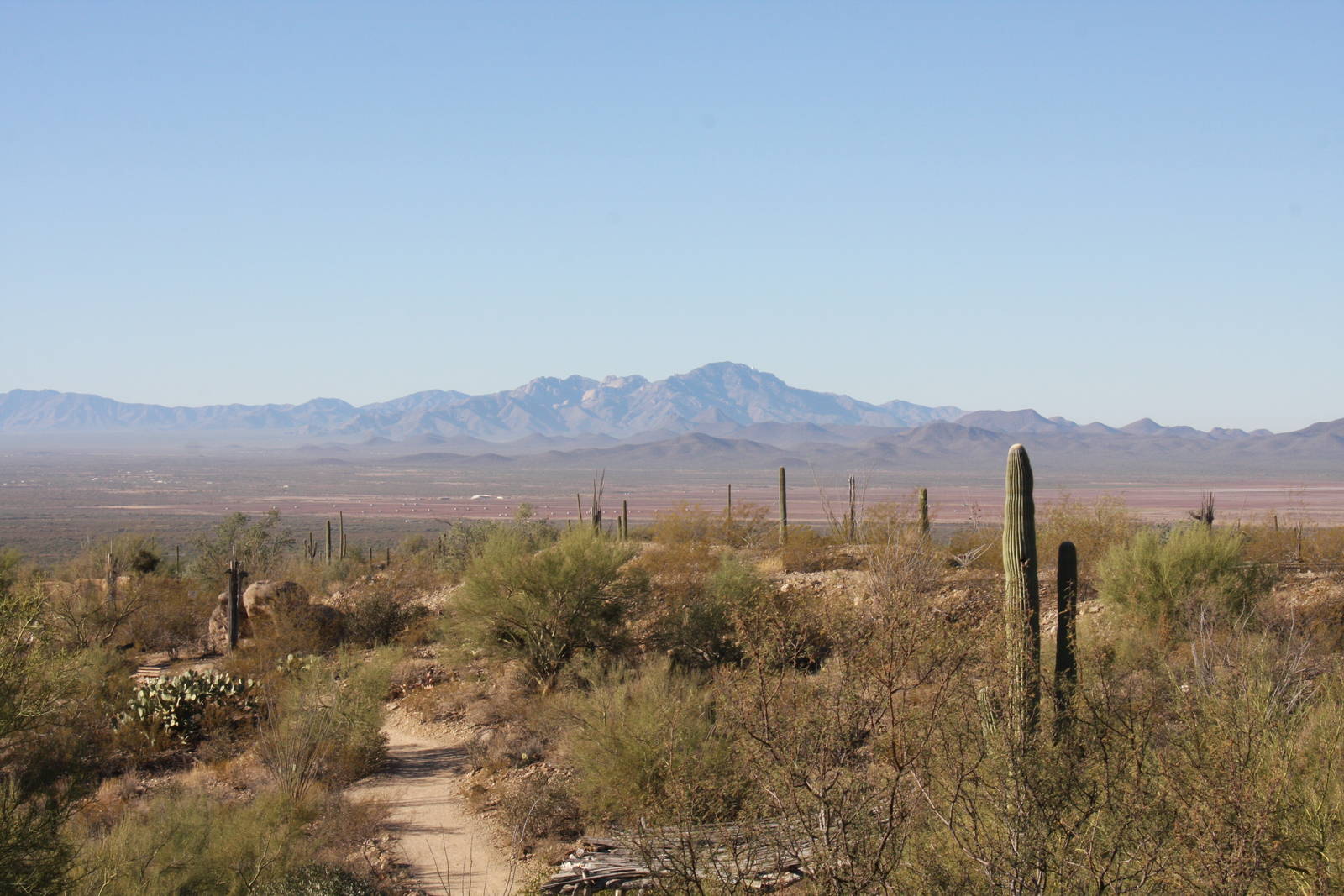 Arizona-Sonora Desert Museum 2010