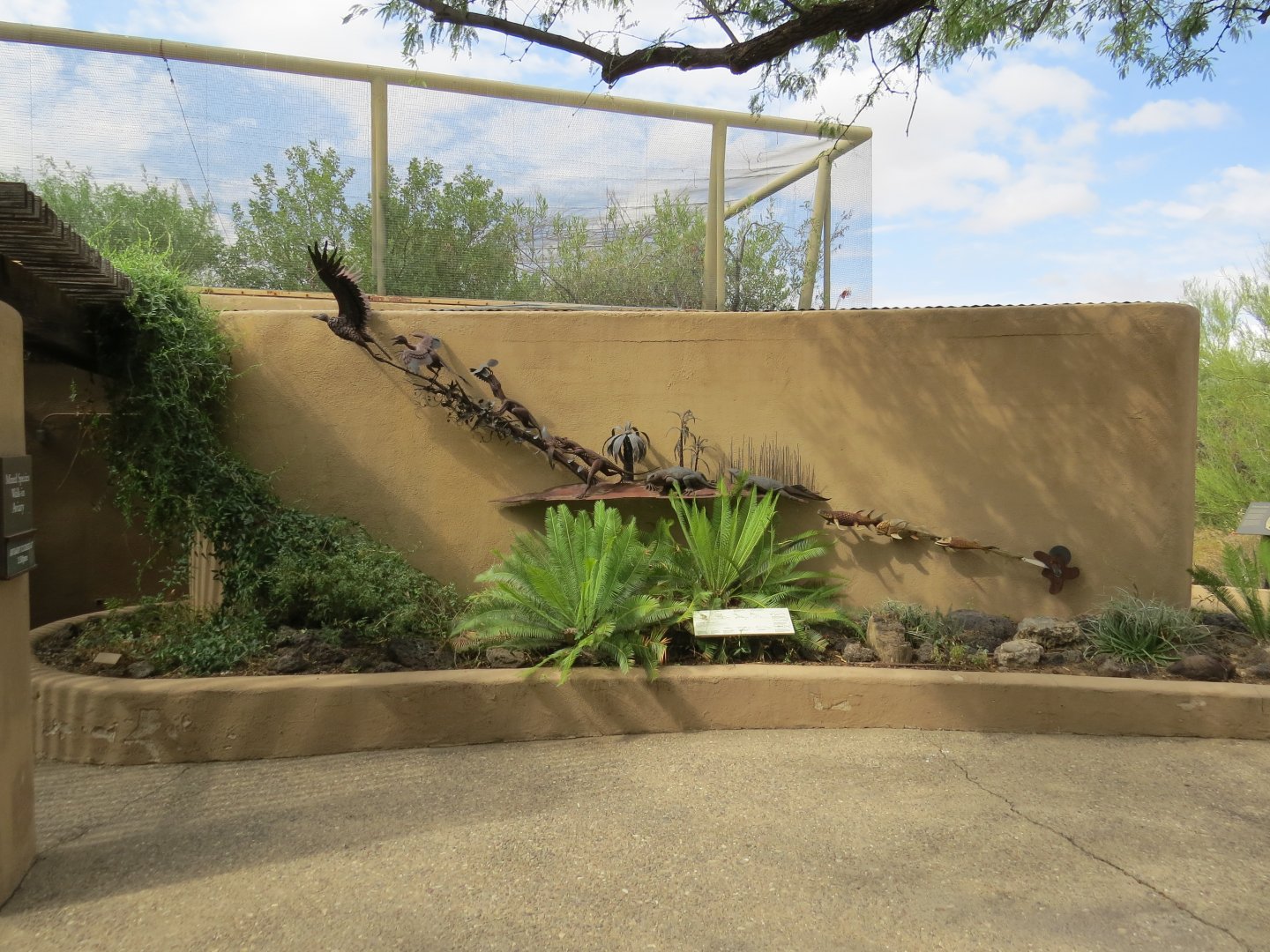Arizona-Sonora Desert Museum Bird Evolution Sculpture 09/06/2025