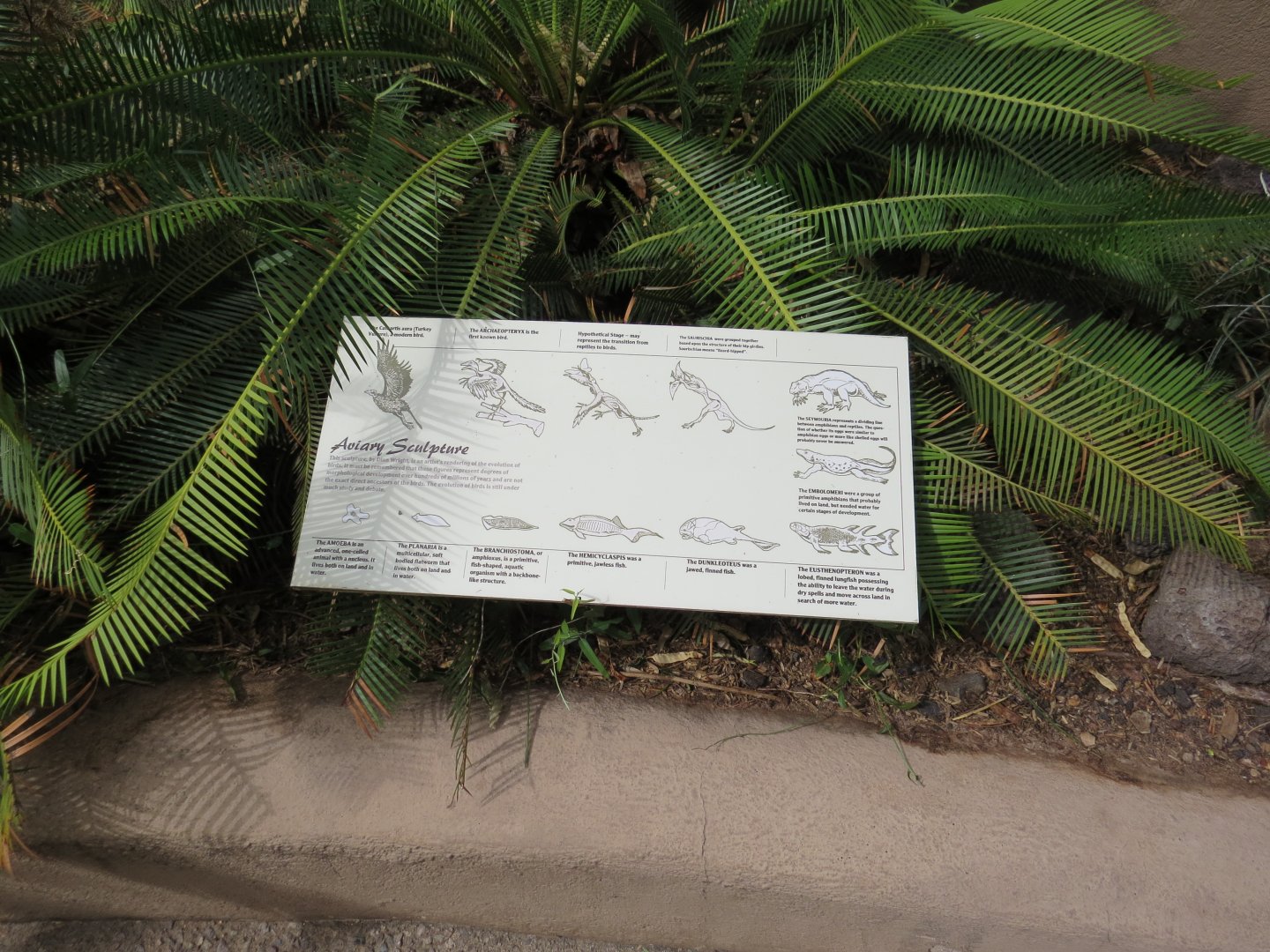 Arizona-Sonora Desert Museum Bird Evolution Sculpture Signage 09/06/2025
