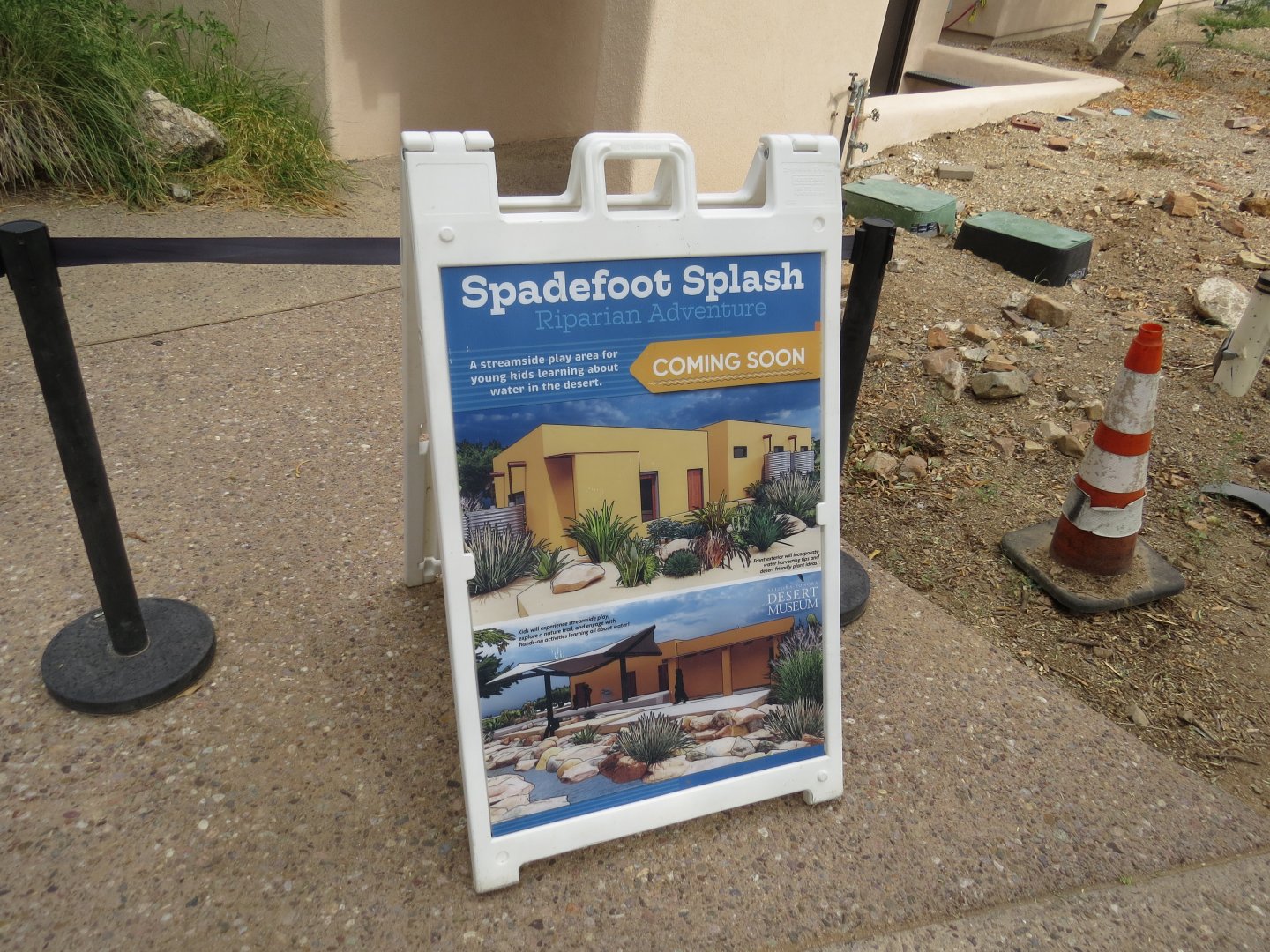 Arizona-Sonora Desert Museum Spadefoot Splash Coming Soon 09/06/2025