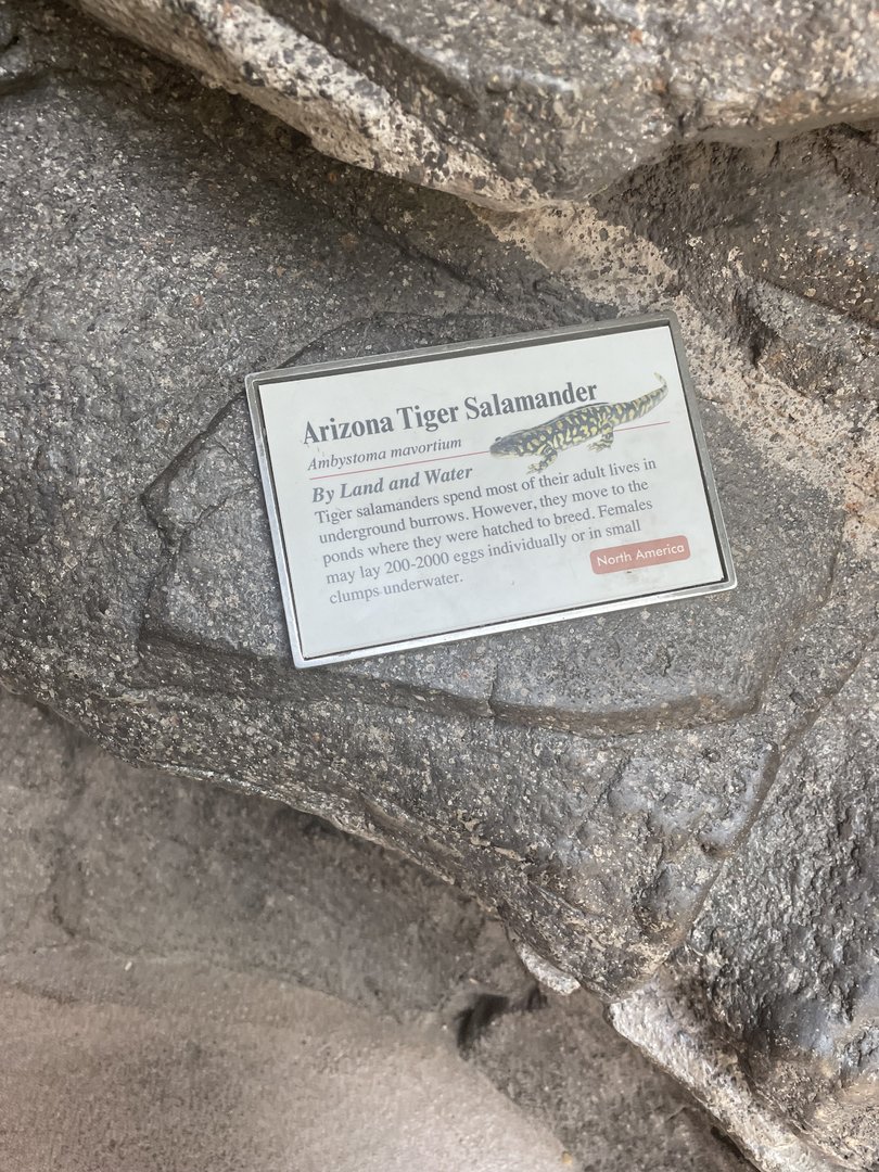 Arizona Tiger Salamander Signage