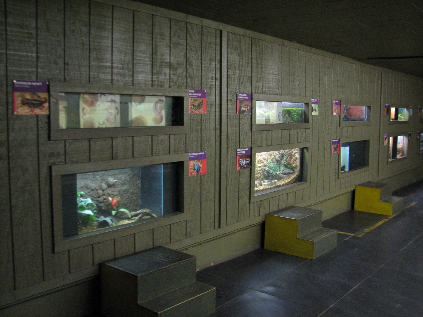 Arizona Trail - Amazing Amphibians Exhibit