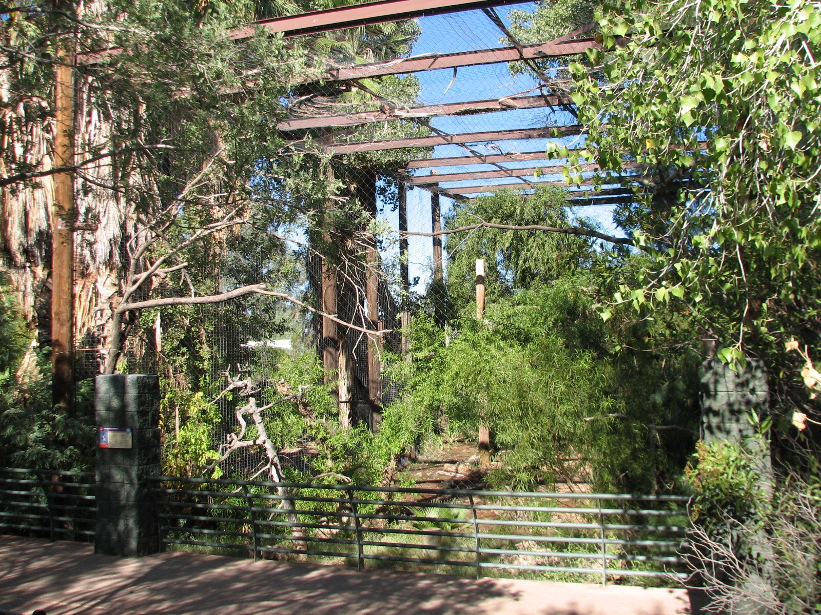 Arizona Trail - Andean Condor Exhibit