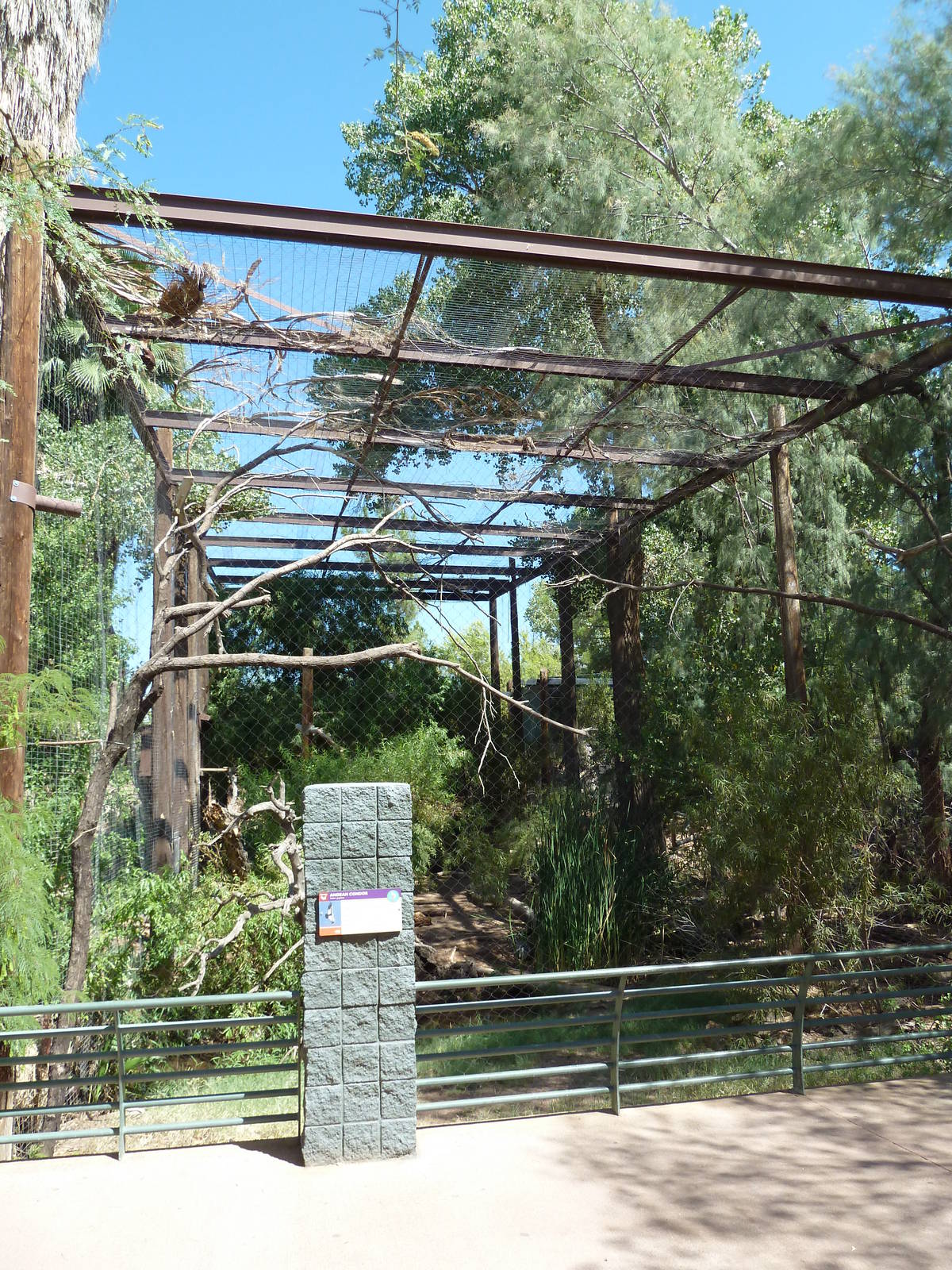 Arizona Trail - Andean Condor Exhibit