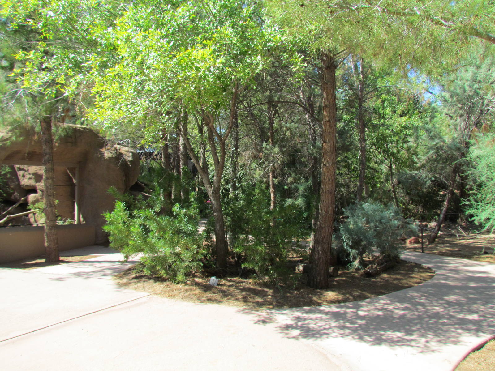 Arizona Trail - Arizona Woodlands
