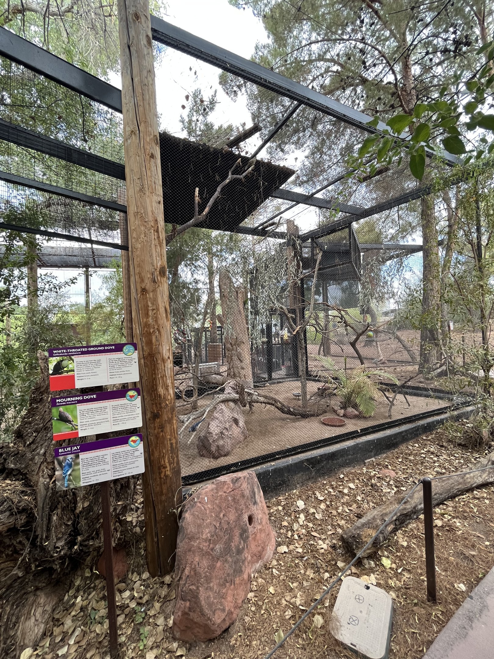 Arizona Trail Aviary (3 species)