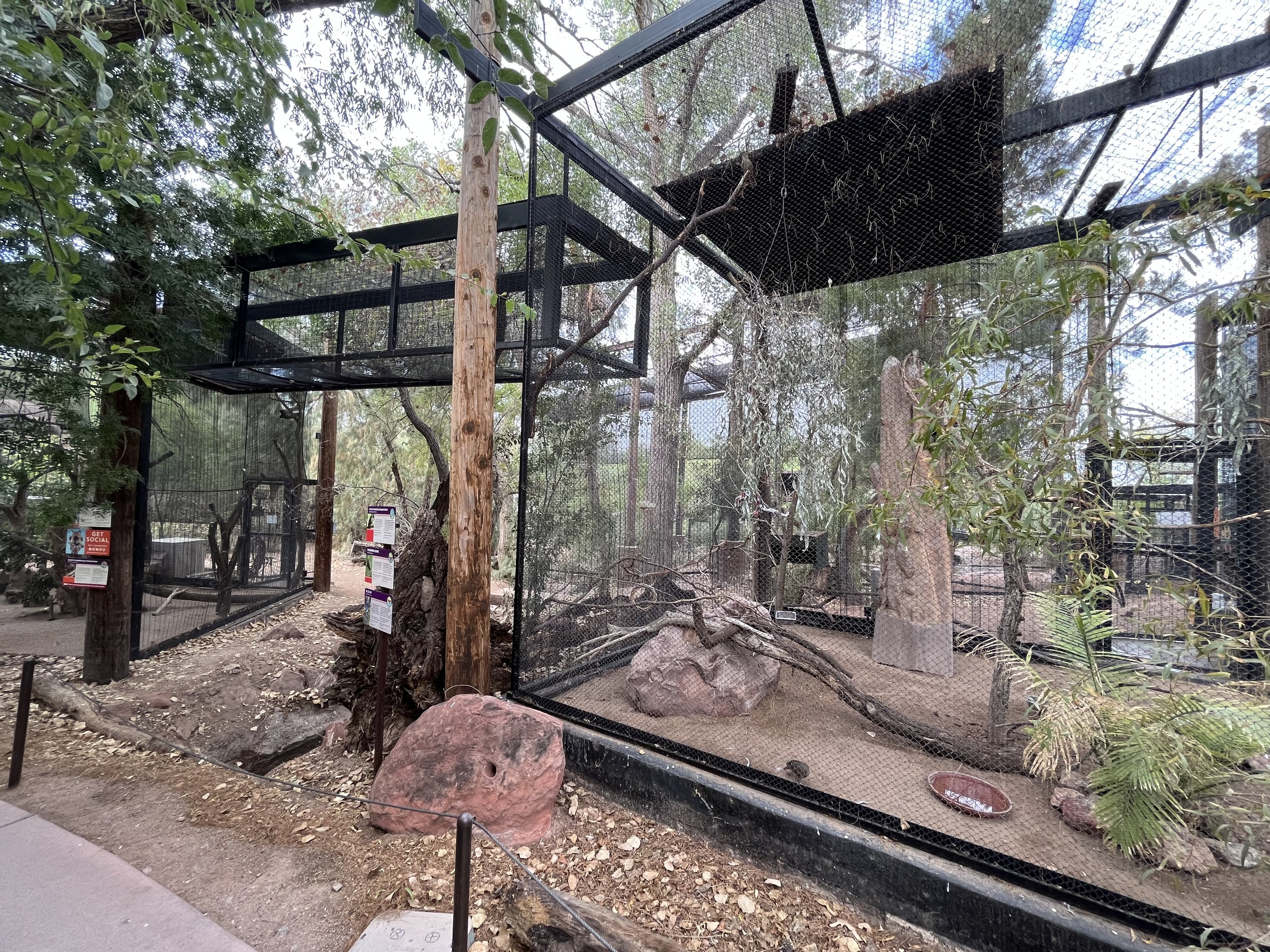 Arizona Trail Aviary (3 species)