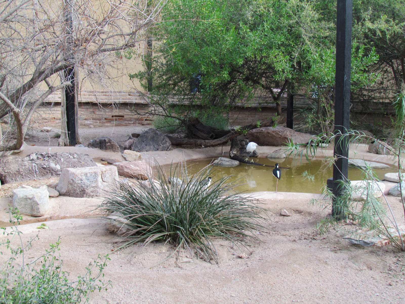 Arizona Trail - Aviary