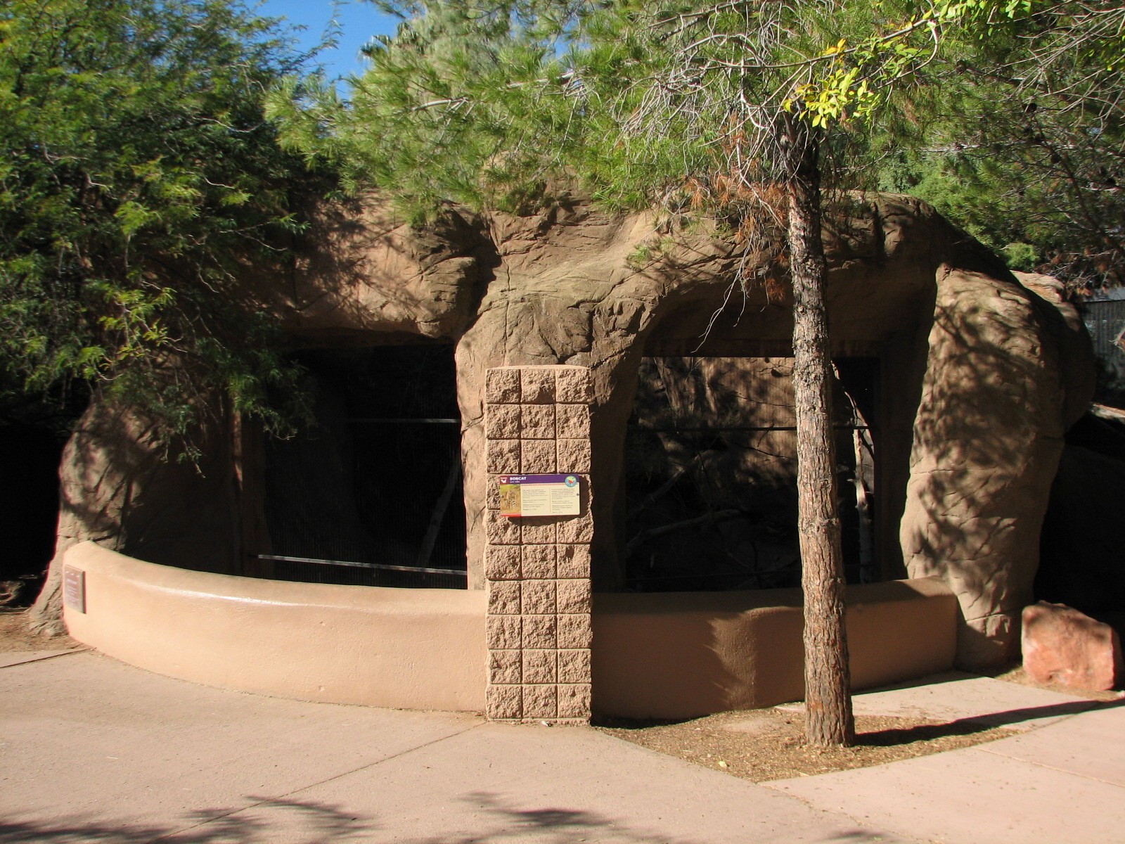 Arizona Trail - Bobcat Exhibit