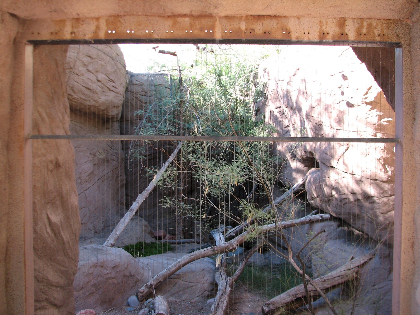Arizona Trail - Bobcat Exhibit