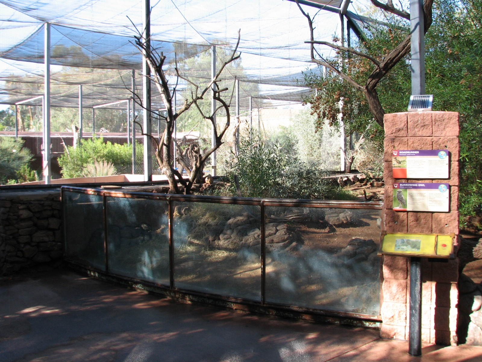 Arizona Trail - Burrowing Owl and Roadrunner Exhibit