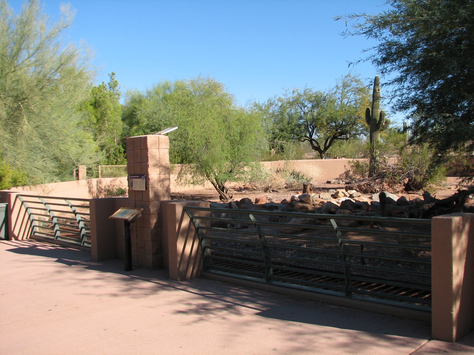 Arizona Trail - Collared Peccary Exhibit