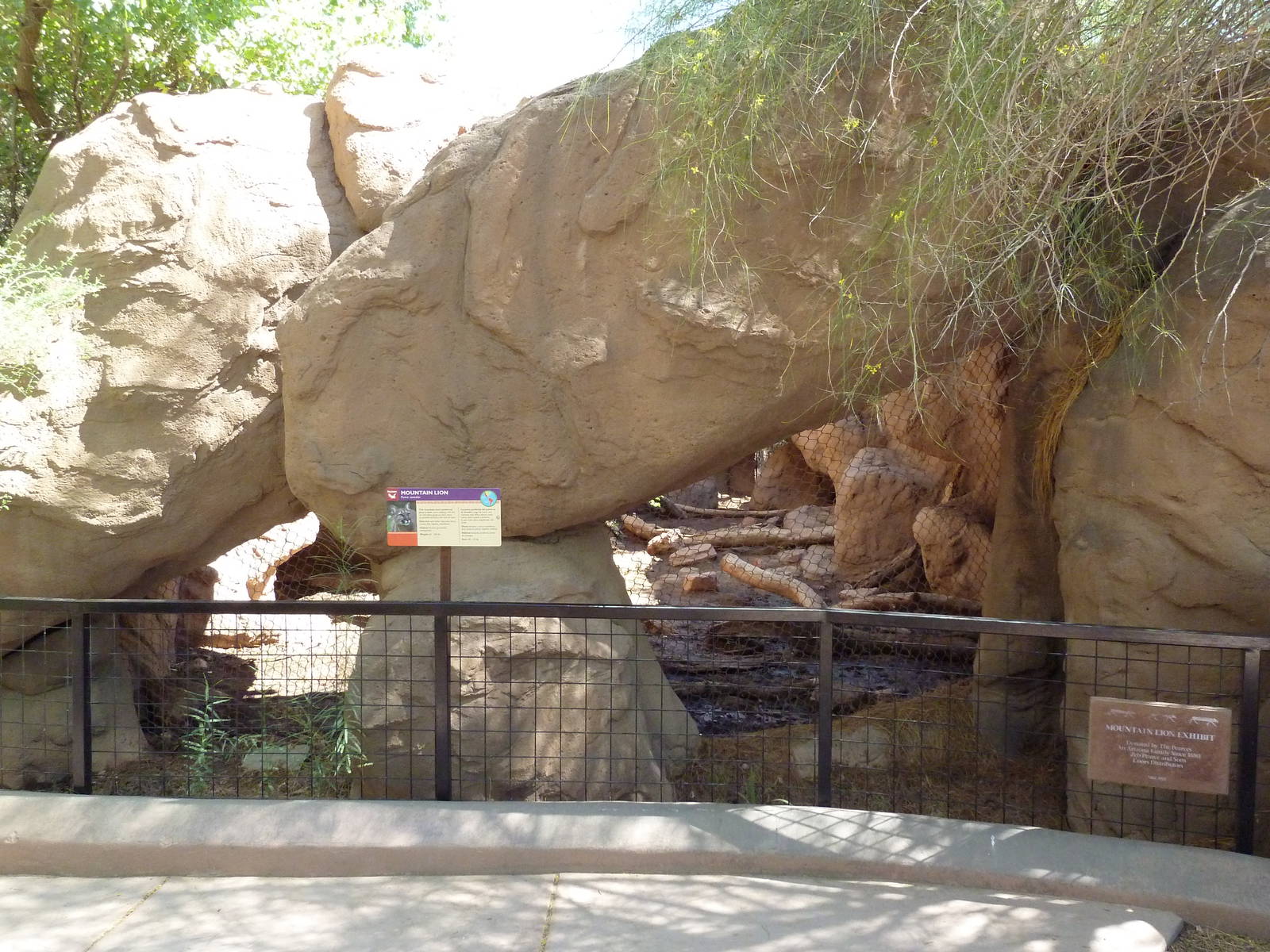 Arizona Trail - Cougar Exhibit