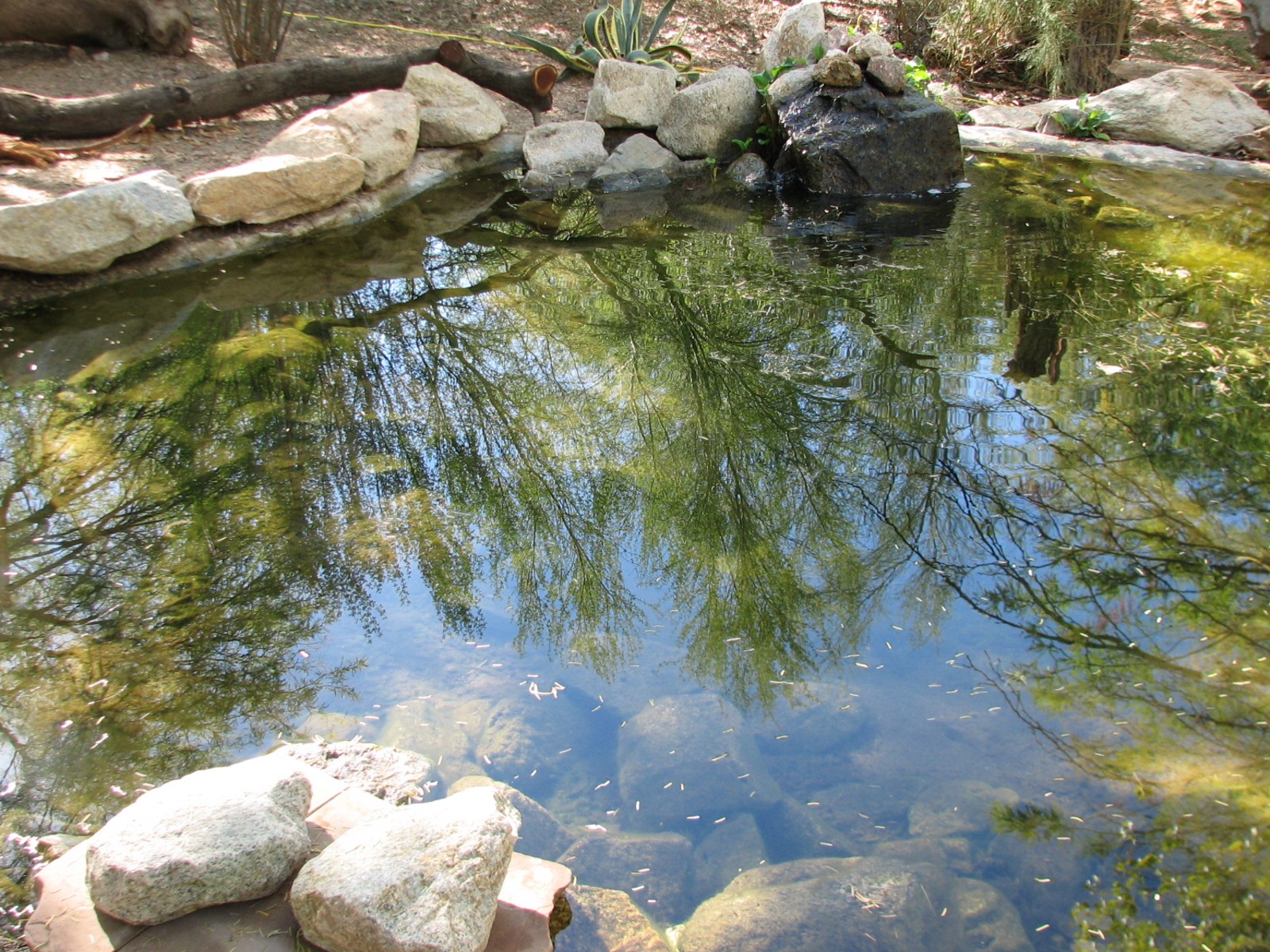 Arizona Trail - Desert Pupfish Exhibit