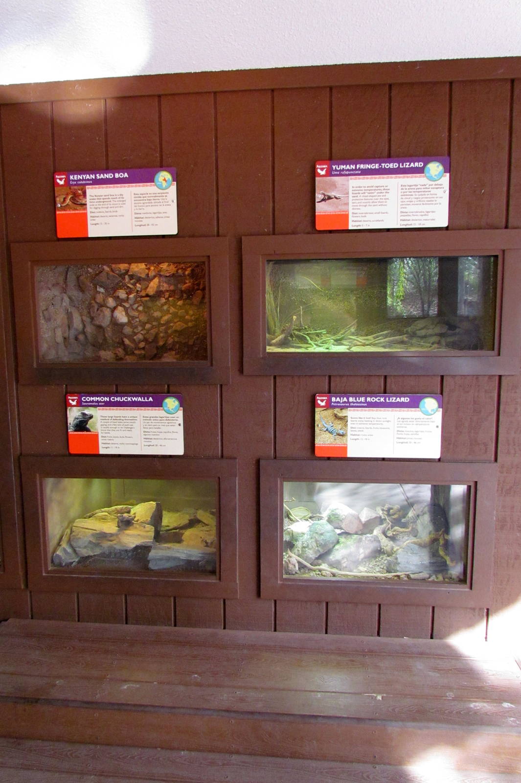 Arizona Trail - Deserts of the World