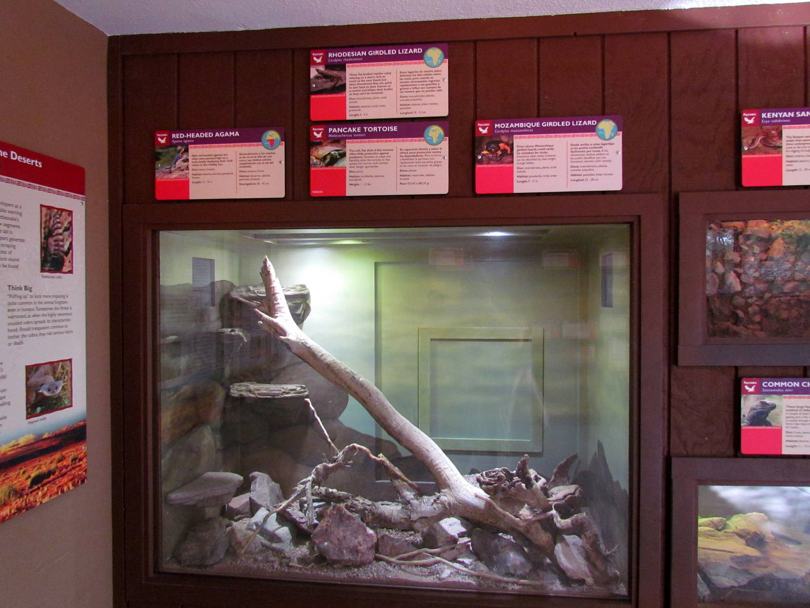 Arizona Trail - Deserts of the World