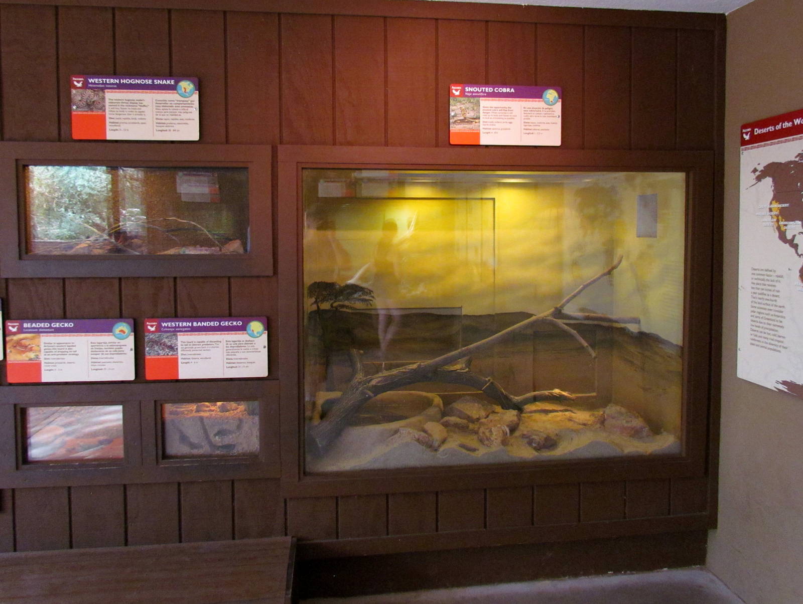 Arizona Trail - Deserts of the World