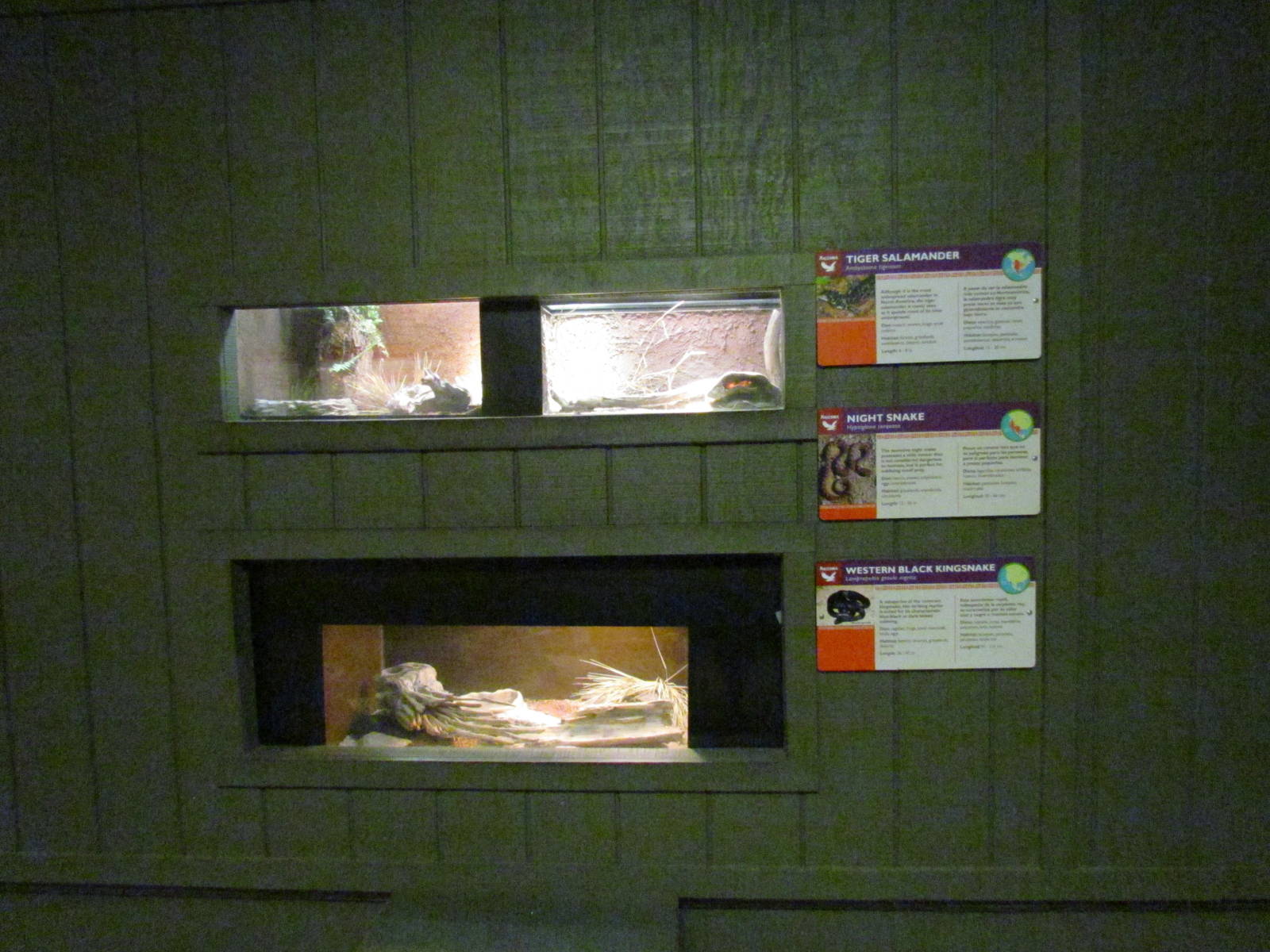 Arizona Trail - Diversity in the Desert