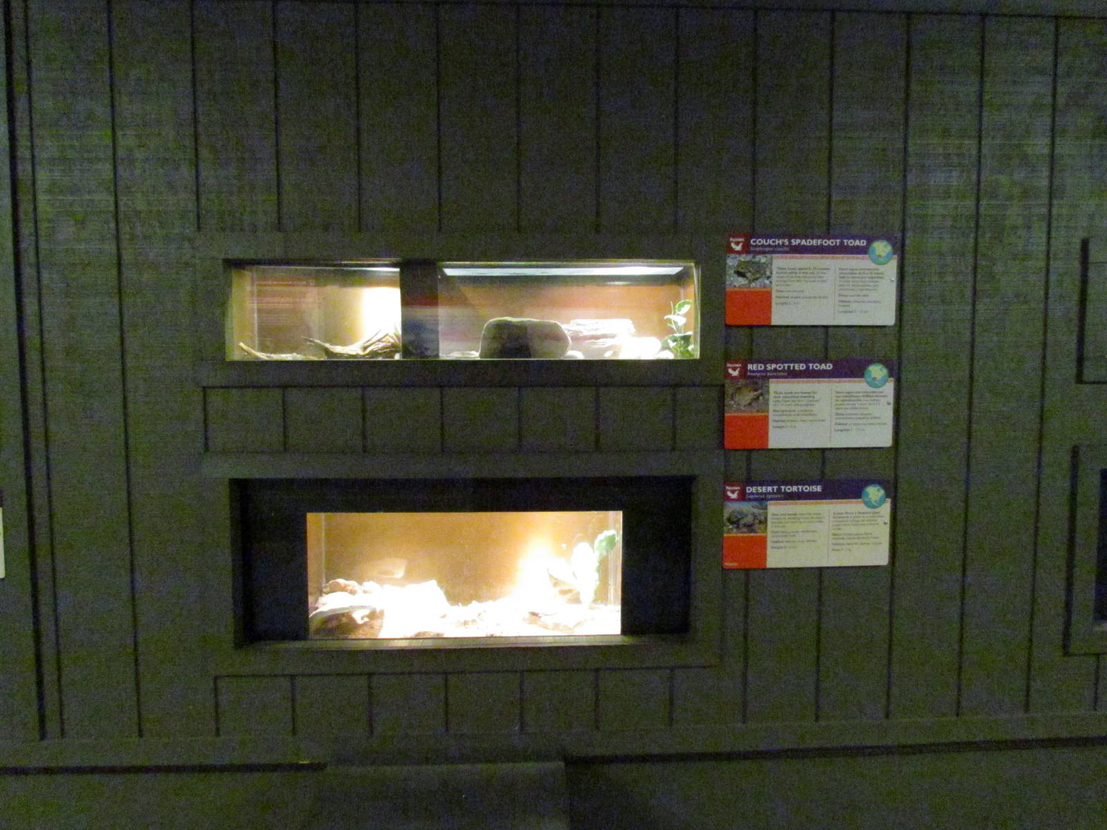 Arizona Trail - Diversity in the Desert