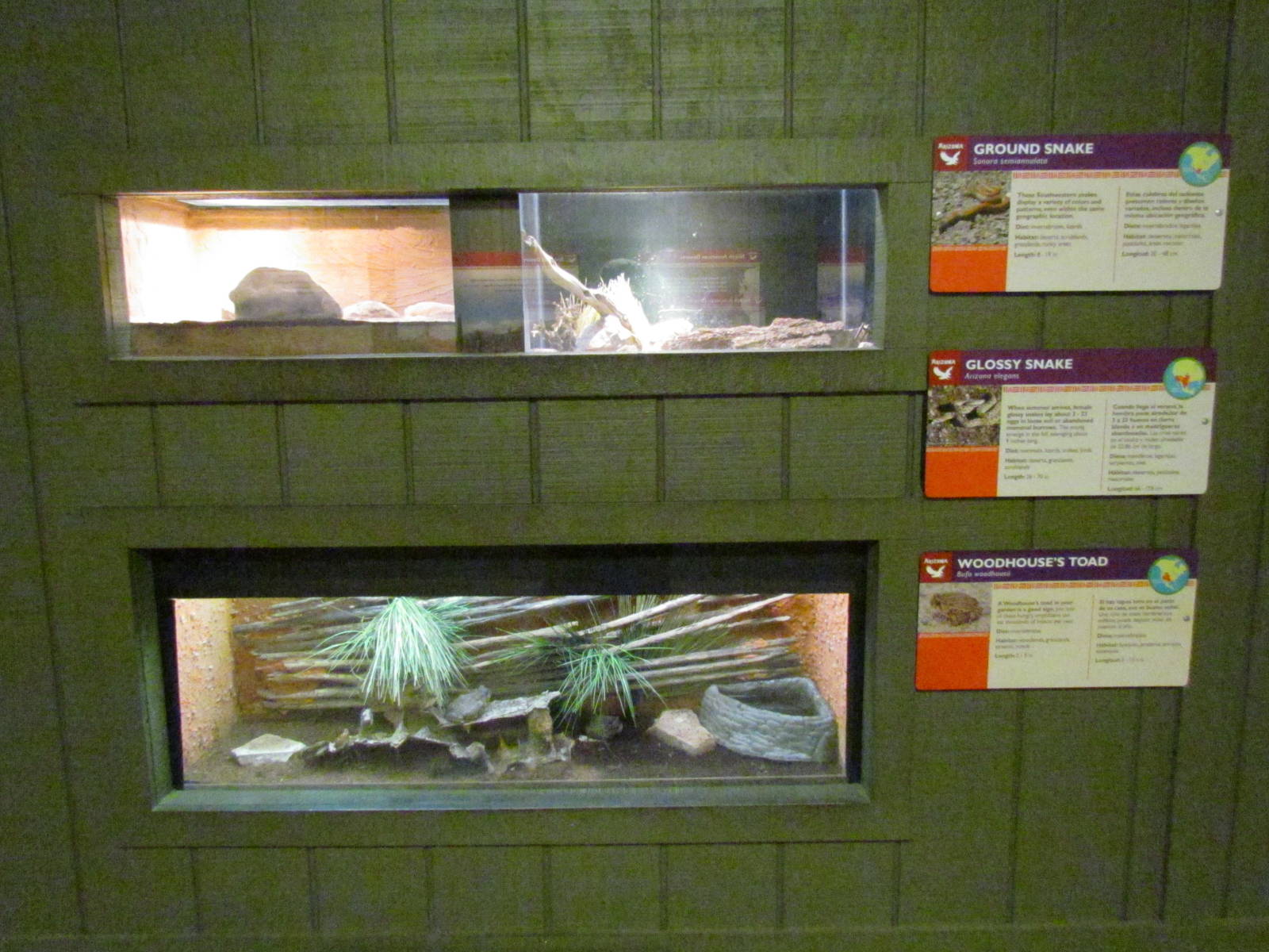 Arizona Trail - Diversity in the Desert