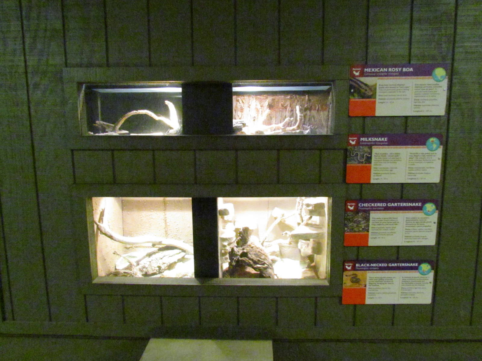 Arizona Trail - Diversity in the Desert