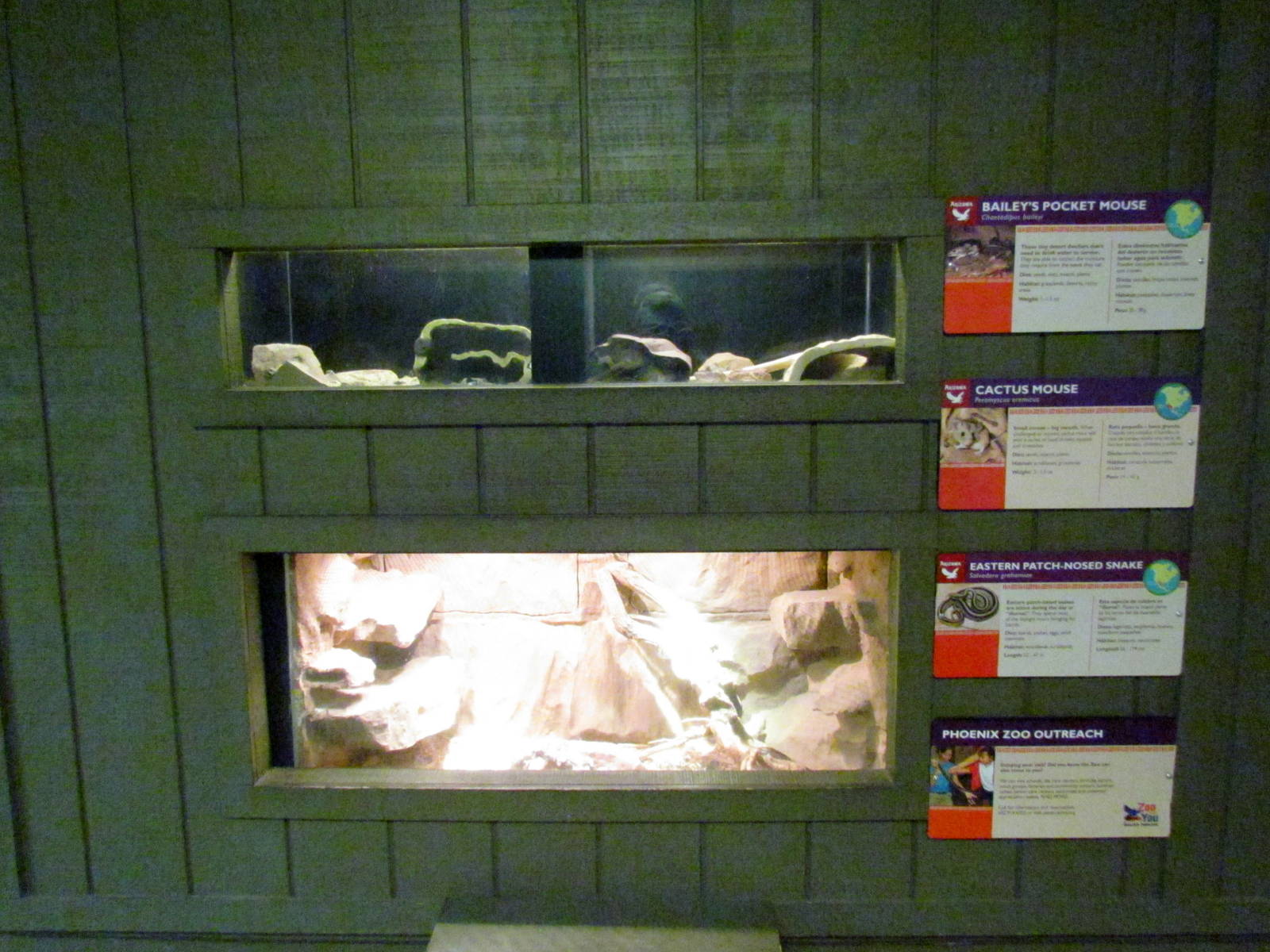 Arizona Trail - Diversity in the Desert