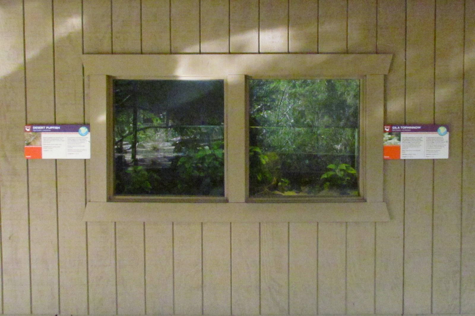 Arizona Trail - Fish Exhibits