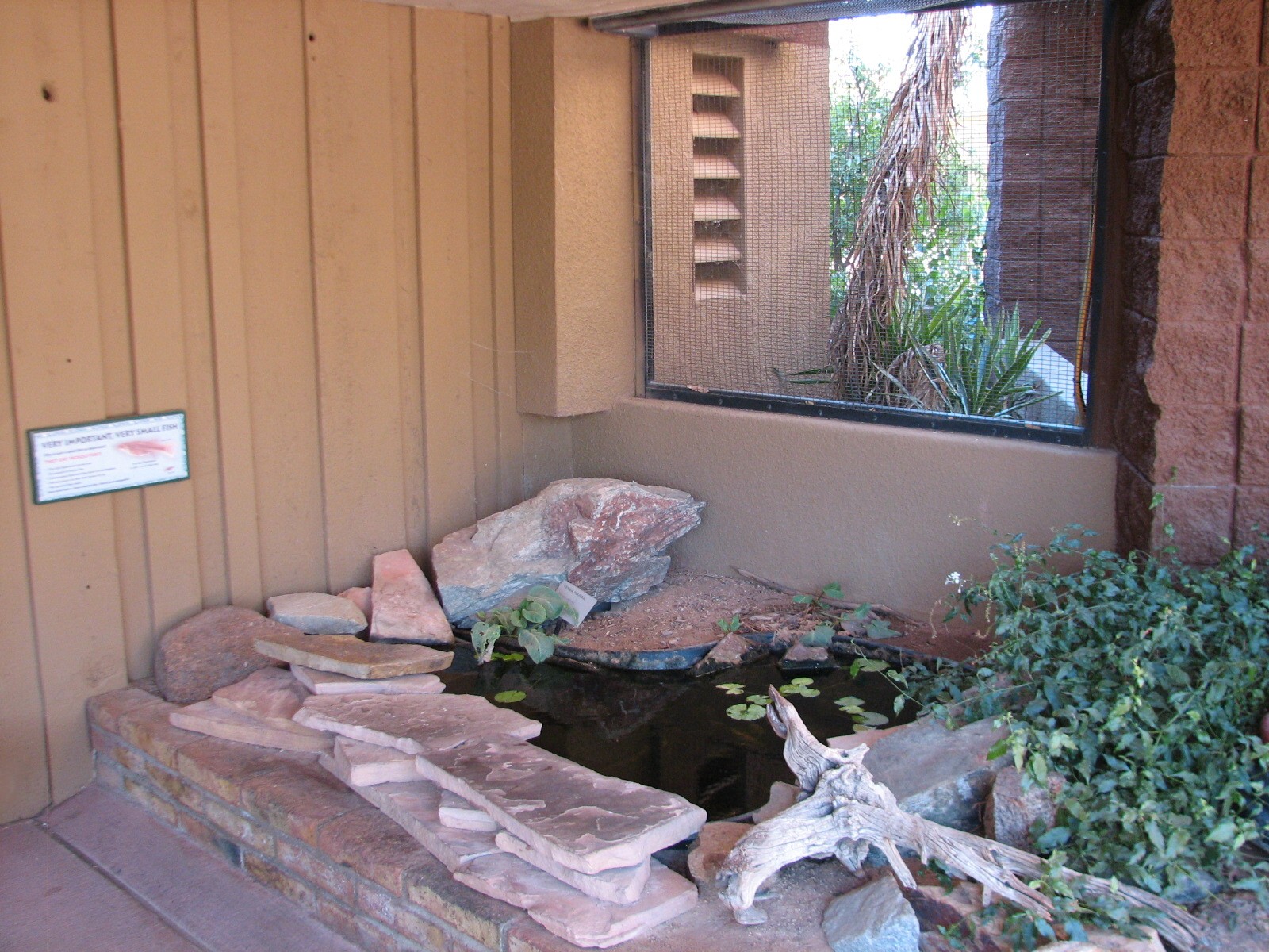 Arizona Trail - Gila Topminnow Exhibit in Walk-through Aviary