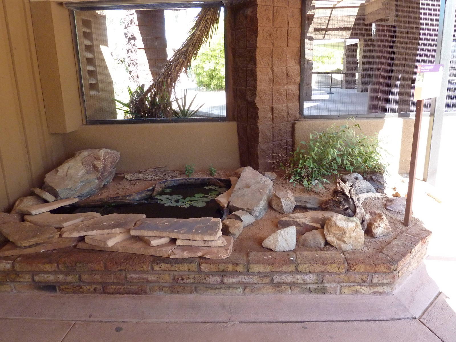 Arizona Trail - Gila Topminnow Exhibit