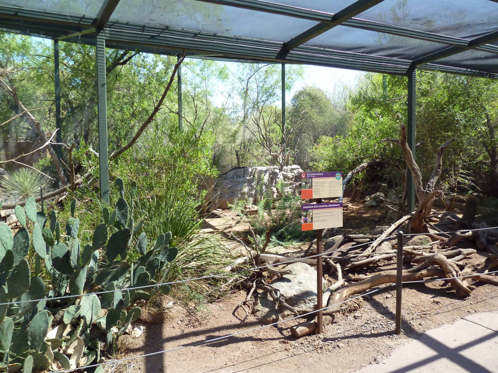Arizona Trail - Golden Eagle Aviary