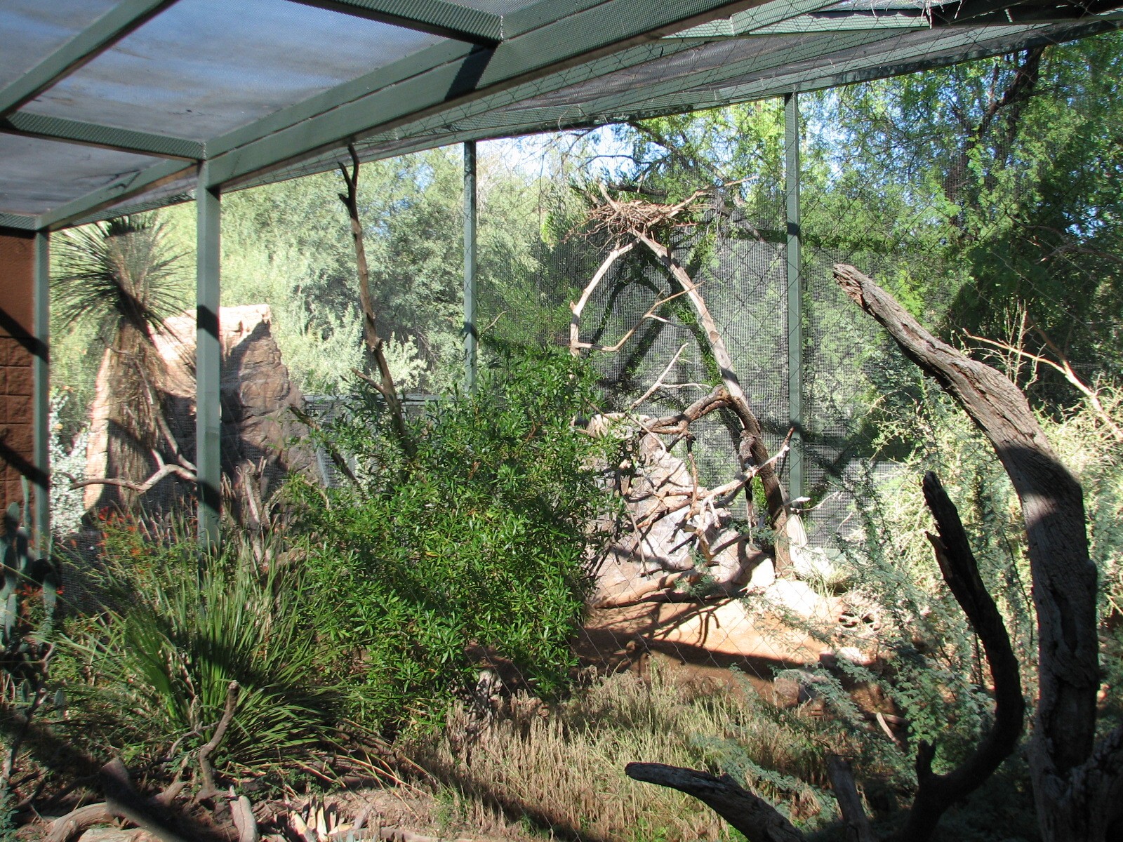 Arizona Trail - Golden Eagle Exhibit