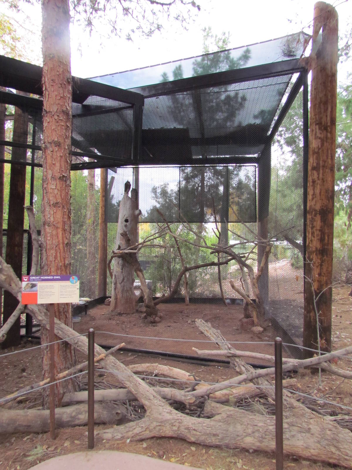 Arizona Trail - Great Horned Owl Exhibit