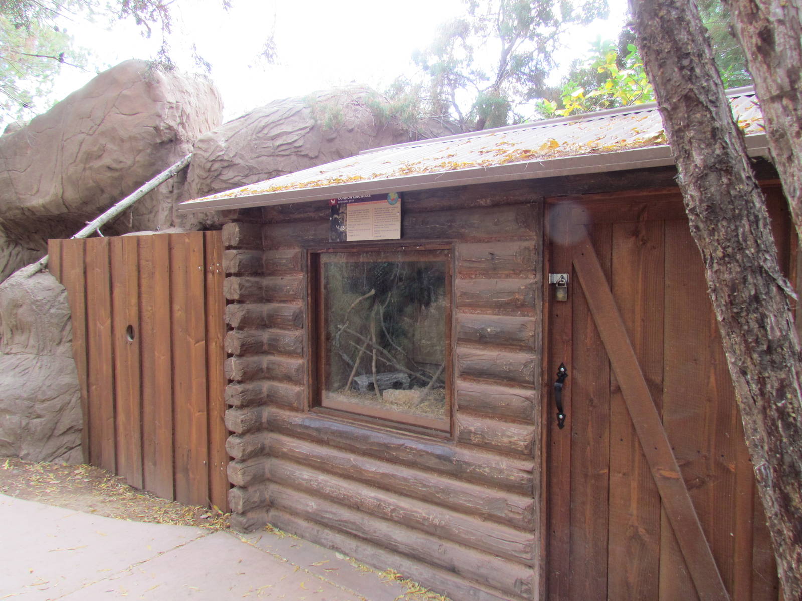 Arizona Trail - Kingsnake Exhibit