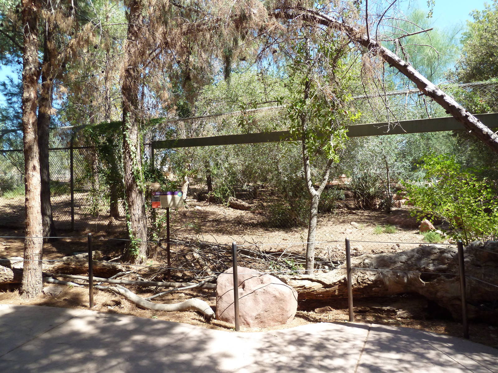 Arizona Trail - Mexican Gray Wolf Exhibit