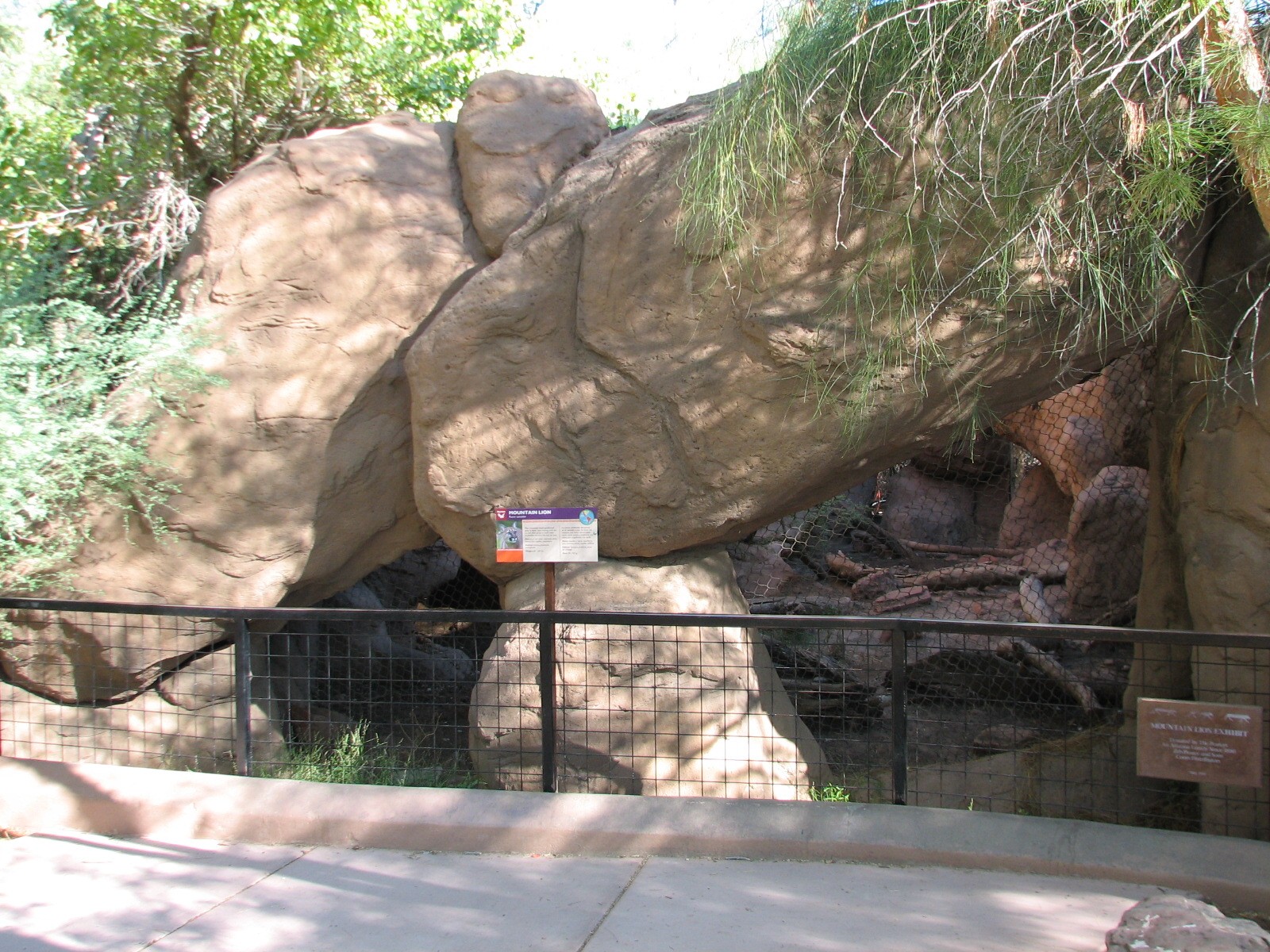 Arizona Trail - Mountain Lion Exhibit