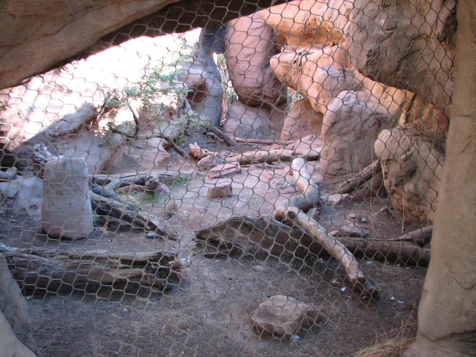 Arizona Trail - Mountain Lion Exhibit