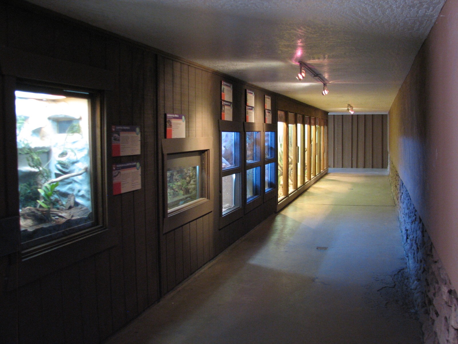 Arizona Trail - Native Reptile and Amphibian Exhibits